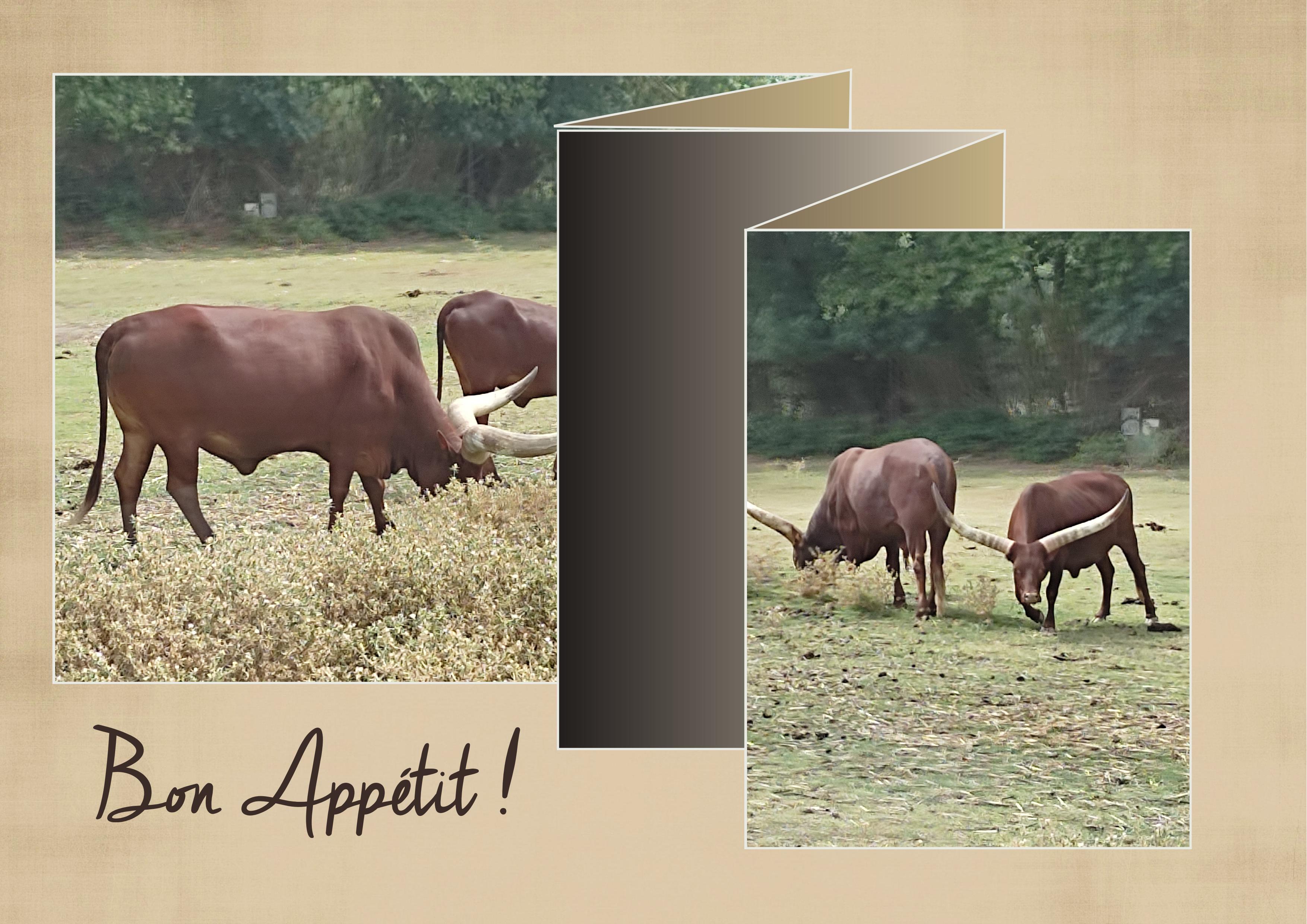 J-A144 - BON APPETIT.jpg