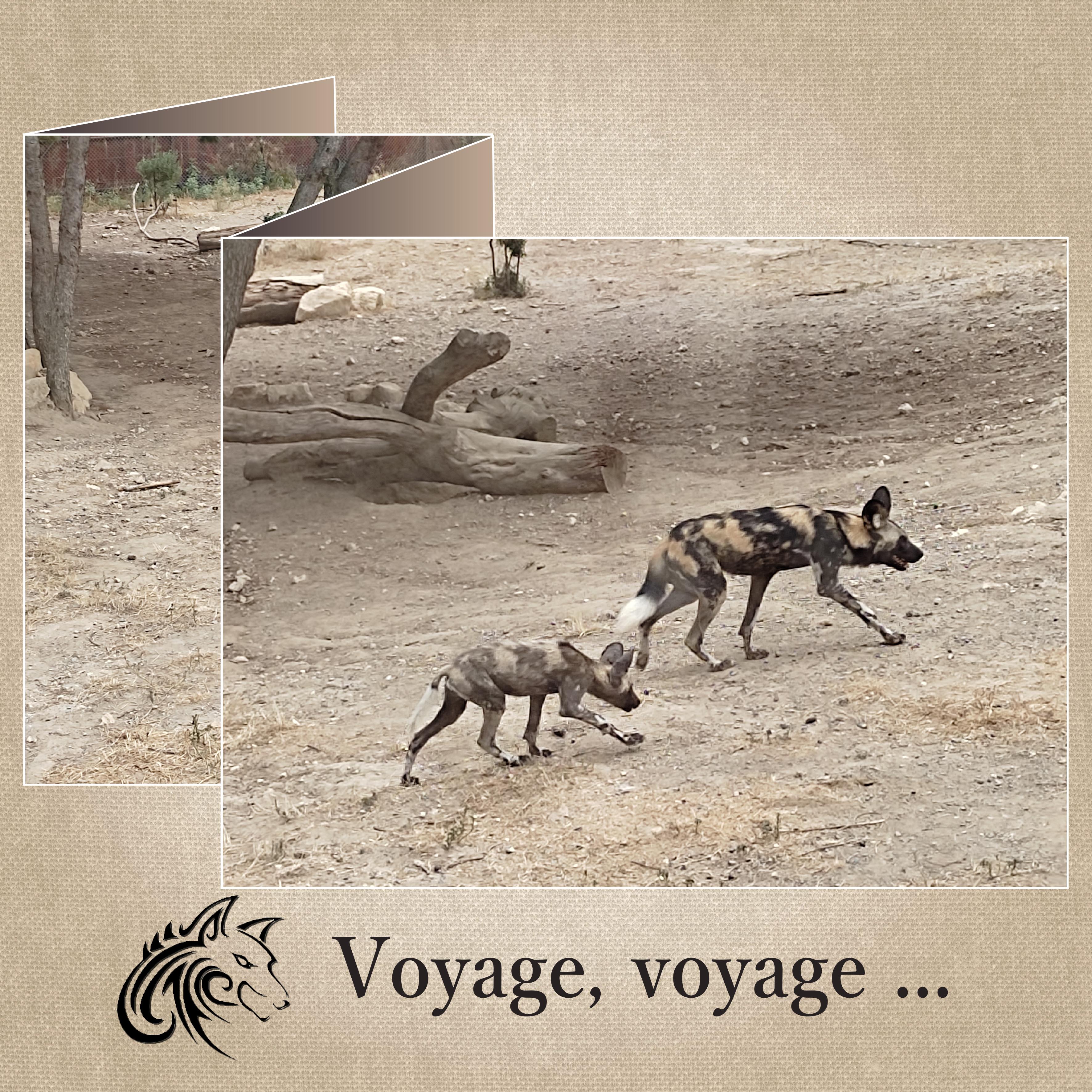 J-A146 - VOYAGE-VOYAGE.jpg