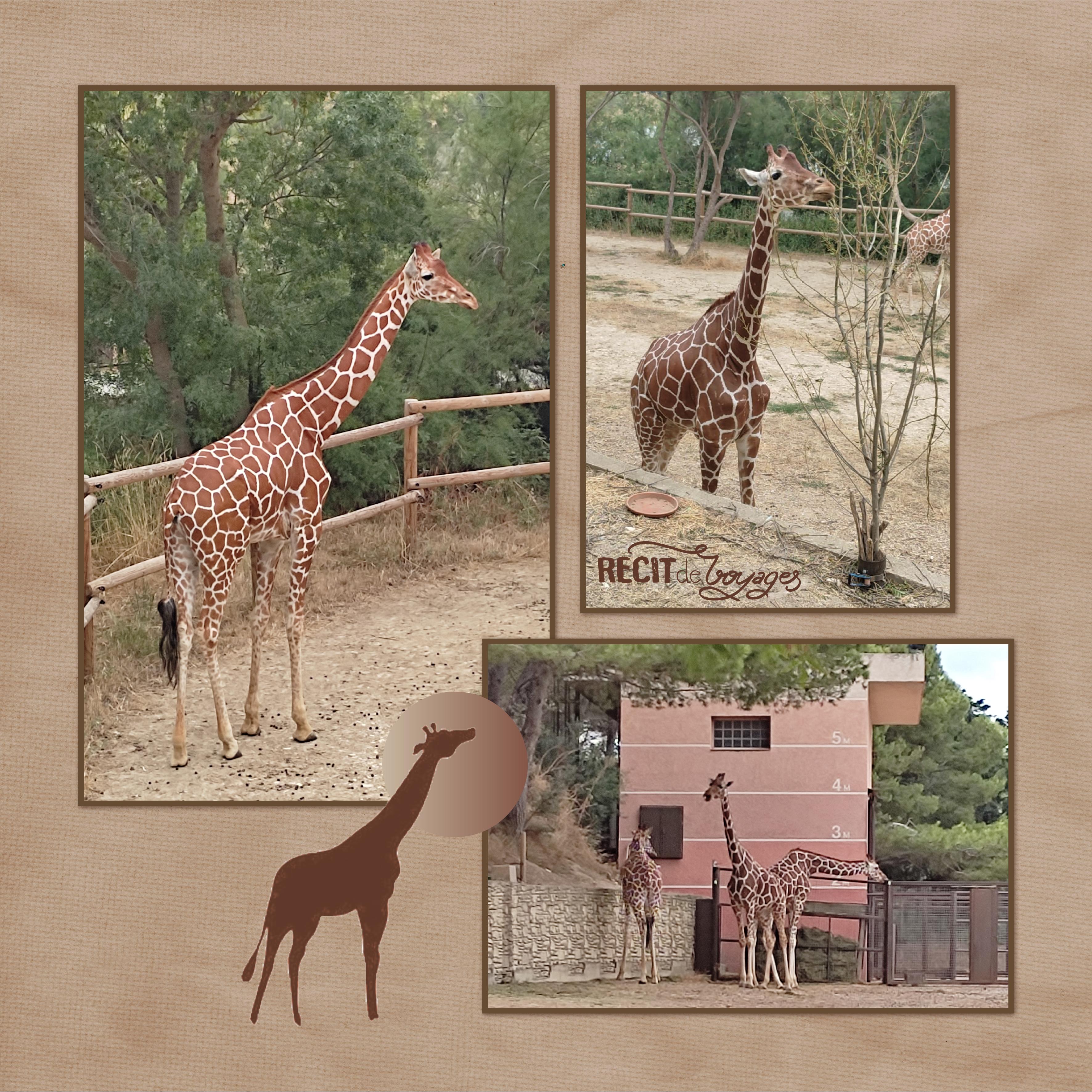 J-A147 - RECIT DE VOYAGES .jpg