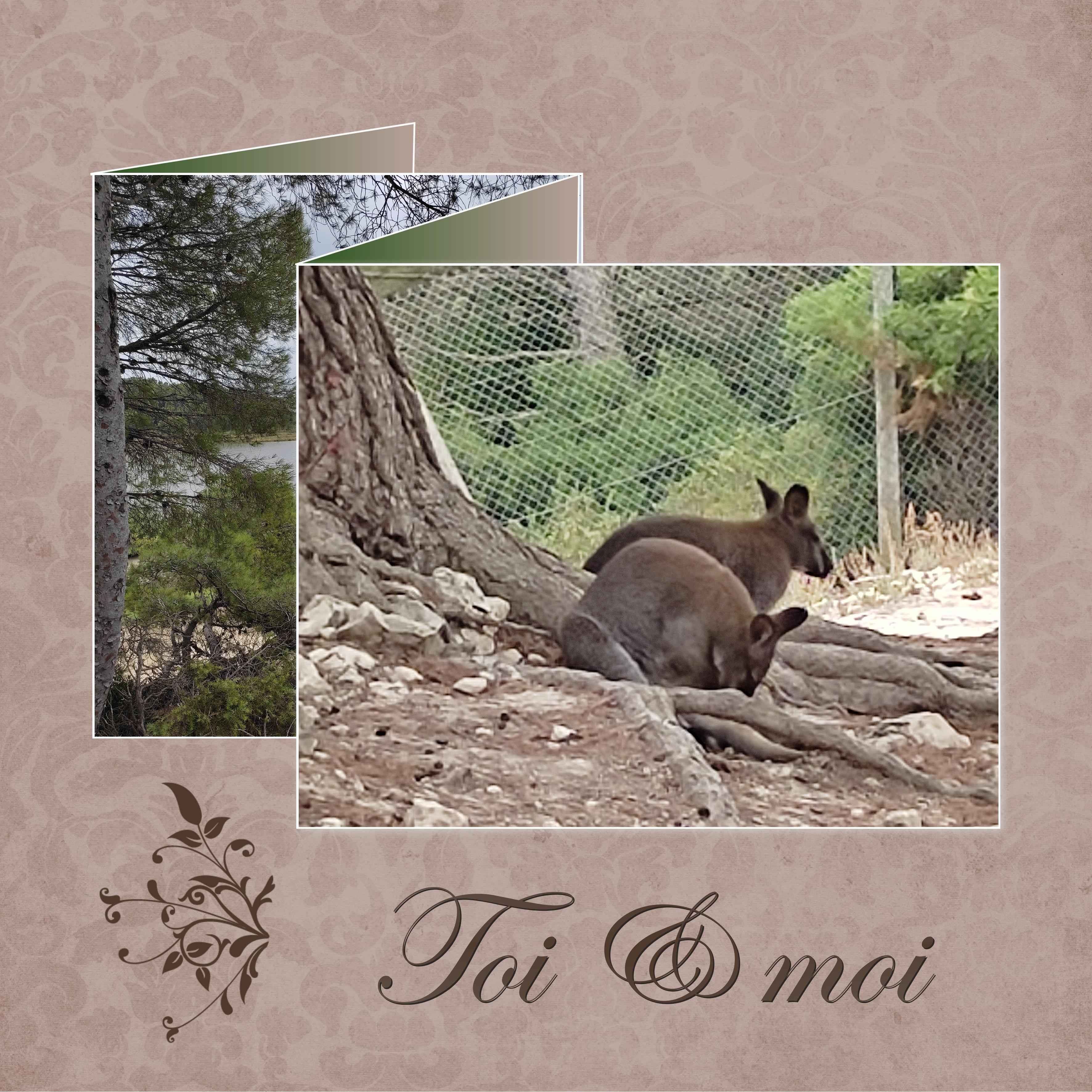 J-A148 - TOI ET MOI.jpg