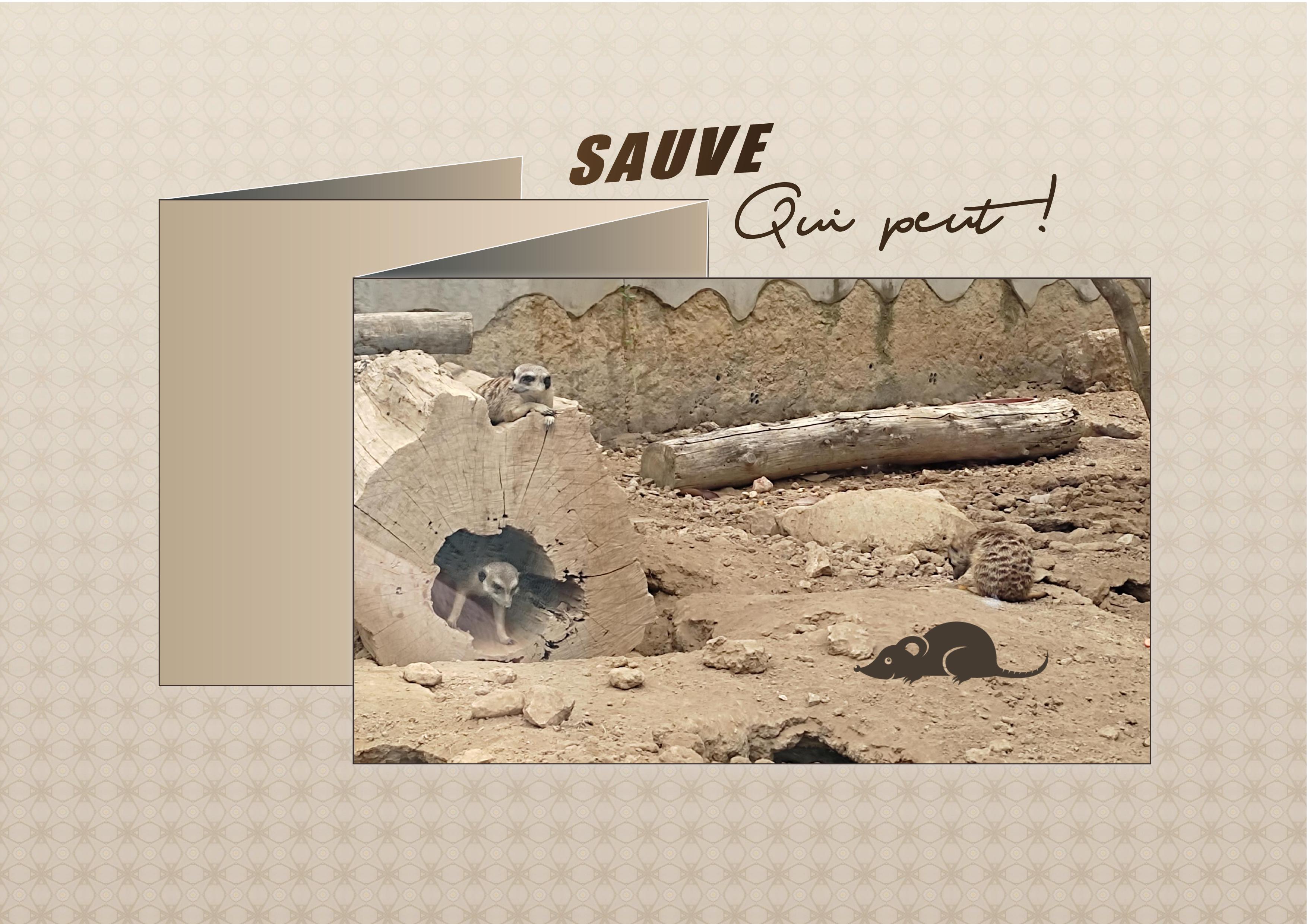 J-A149 - SAUVE QUI PEUT.jpg