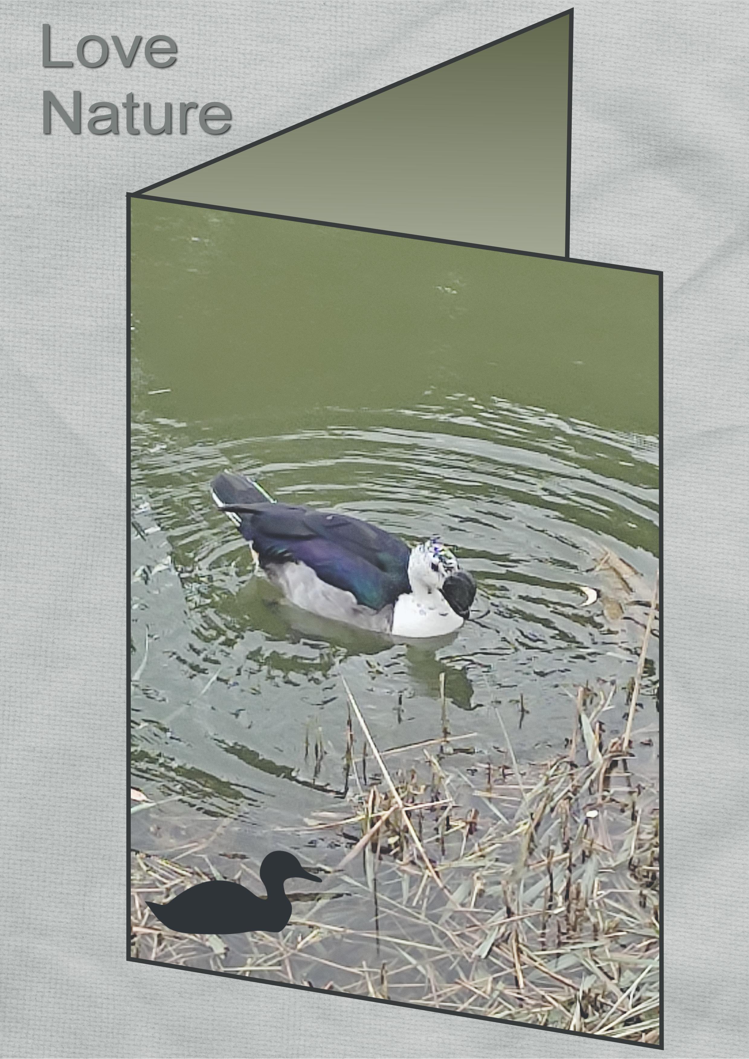 J-A153 - LOVE NATURE.jpg
