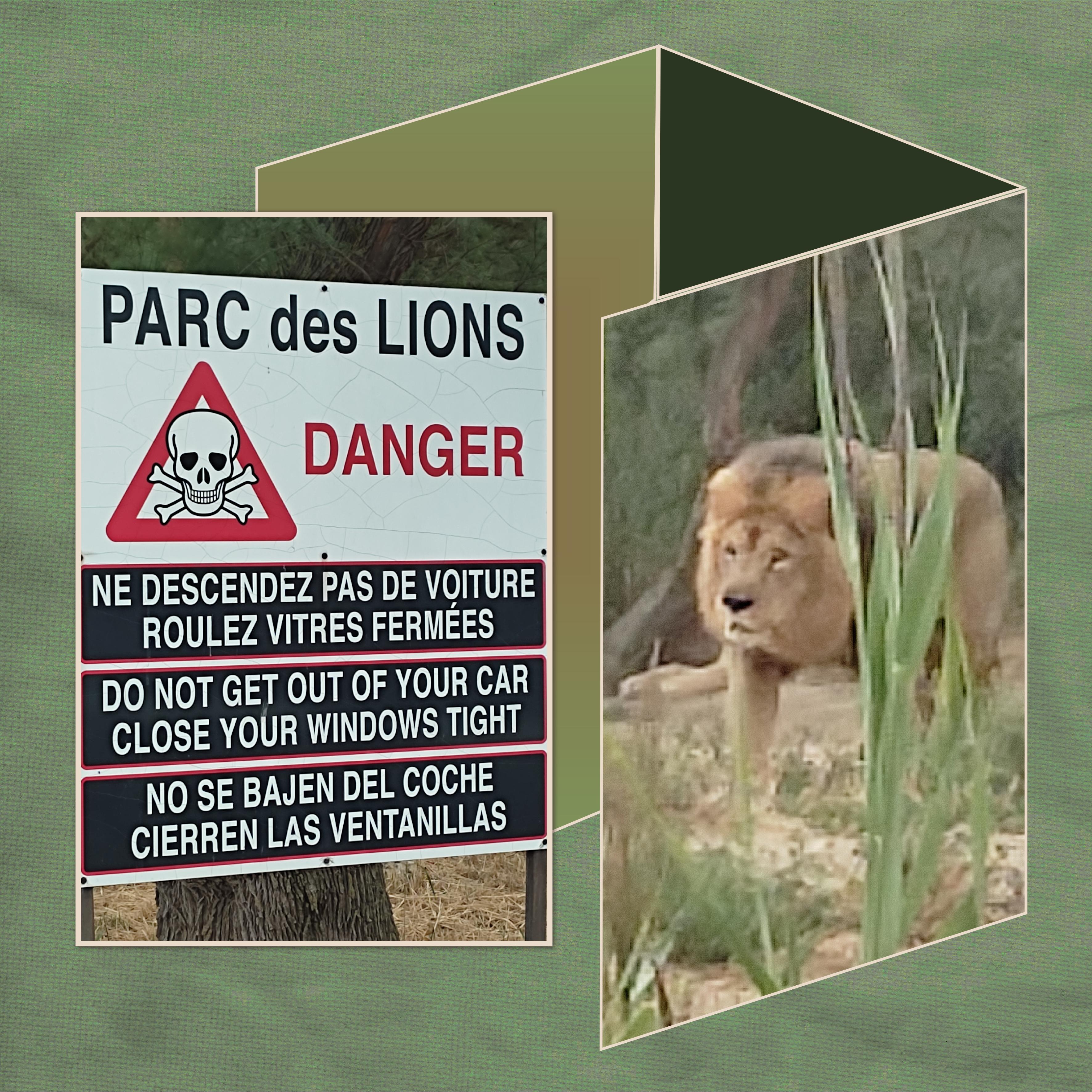 J-A156 - PARC DE LIONS.jpg