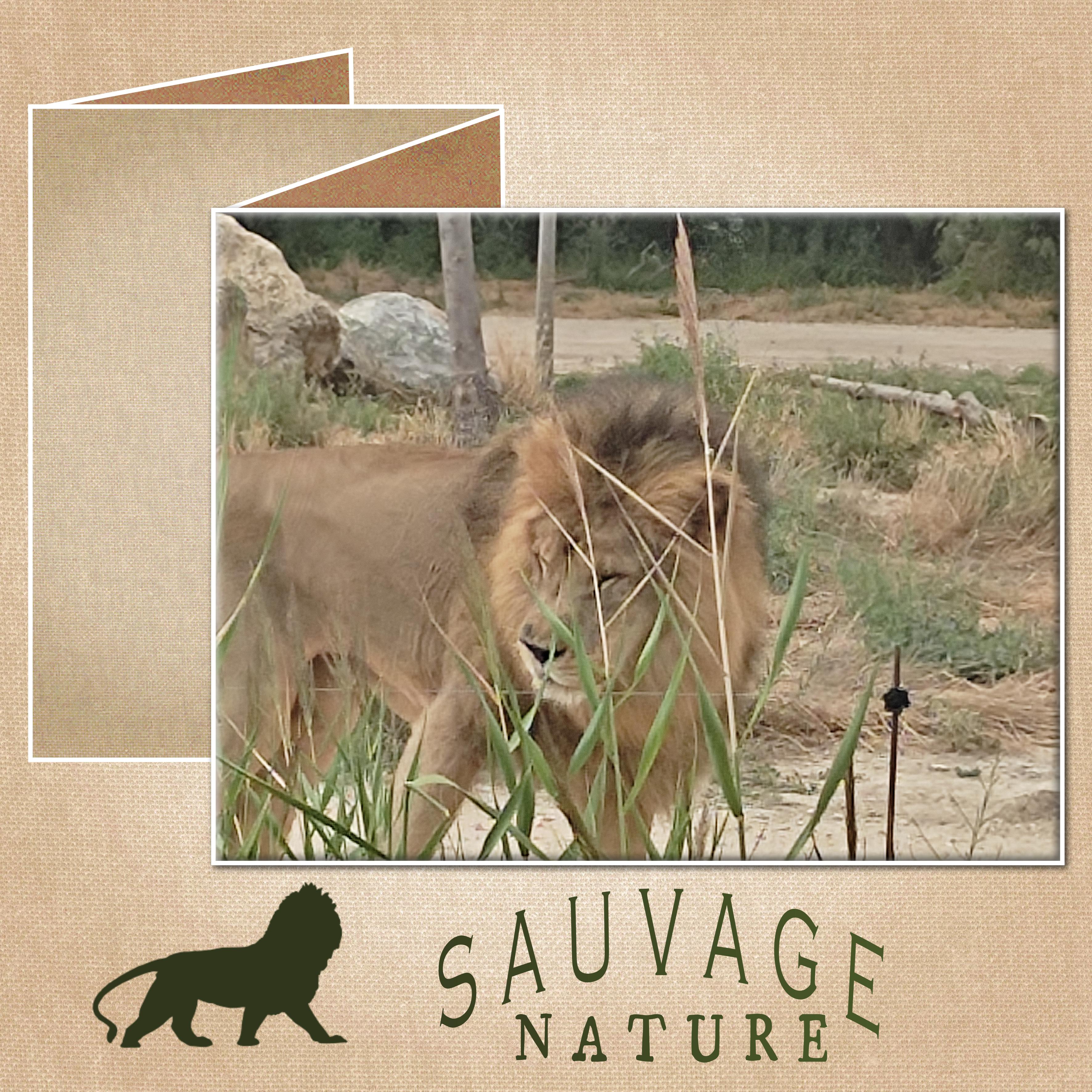 J-A158 - NATURE SAUVAGE.jpg