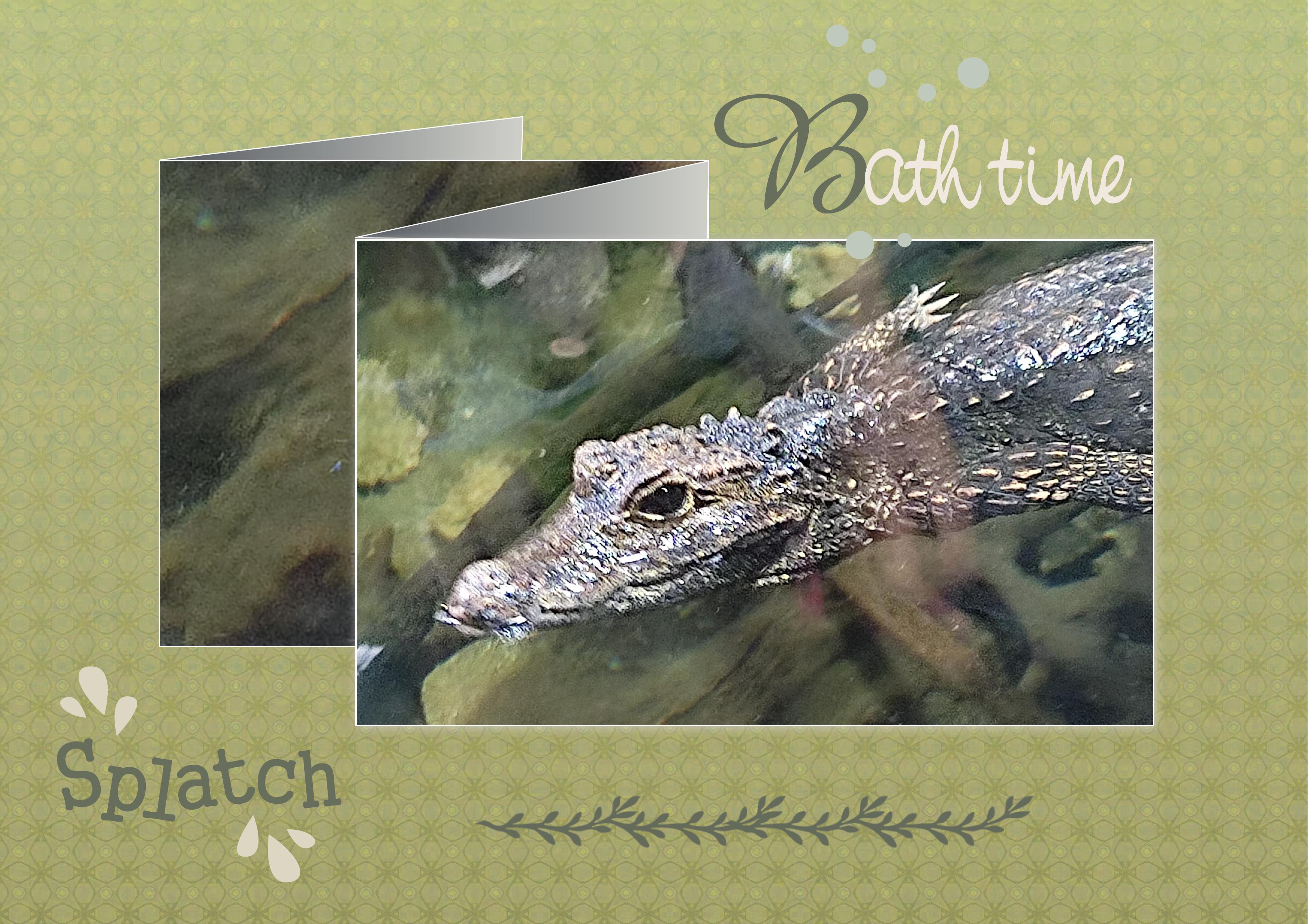 J-A160 - SPLATCH-BATH TIME.jpg