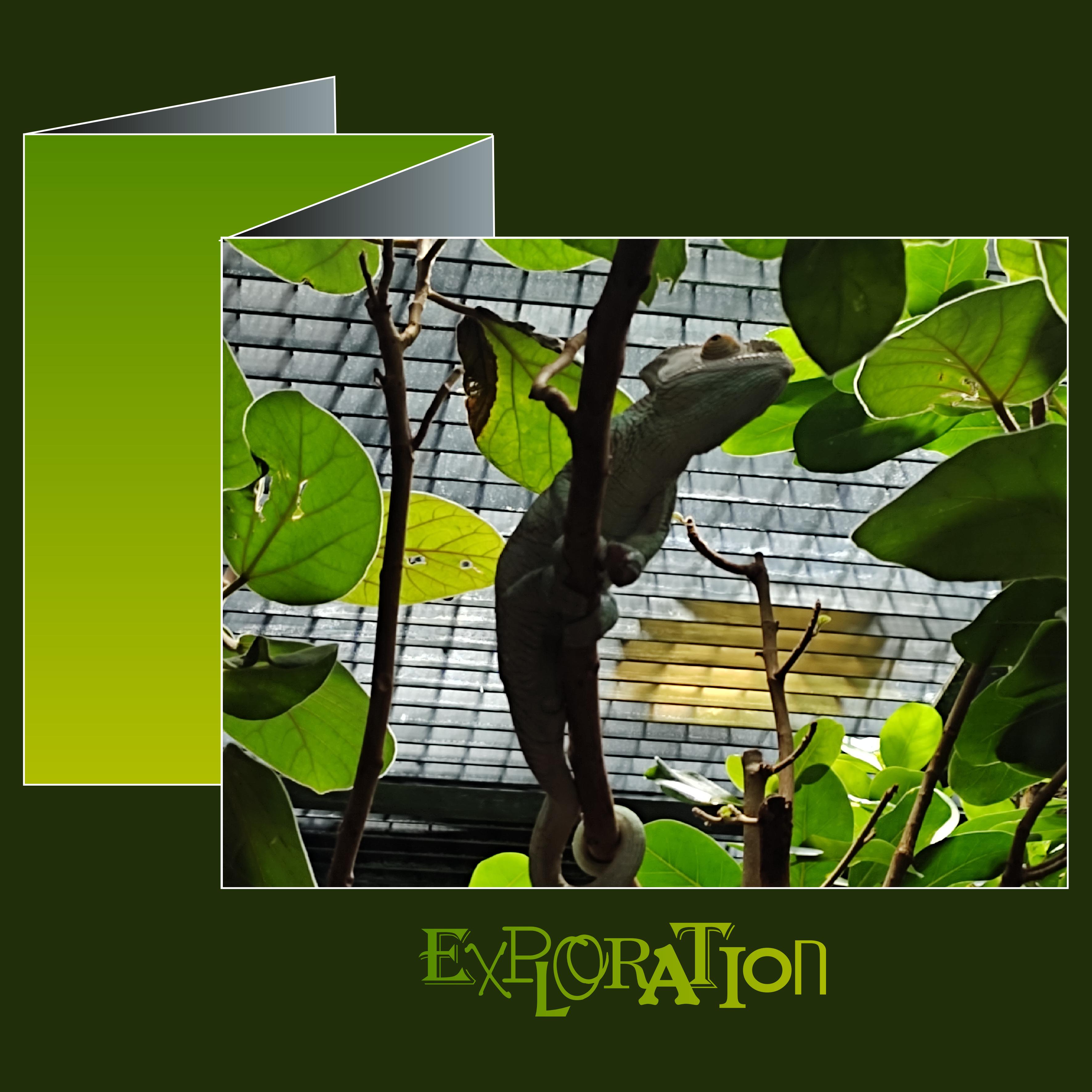 J-A162 - EXPLORATION.jpg