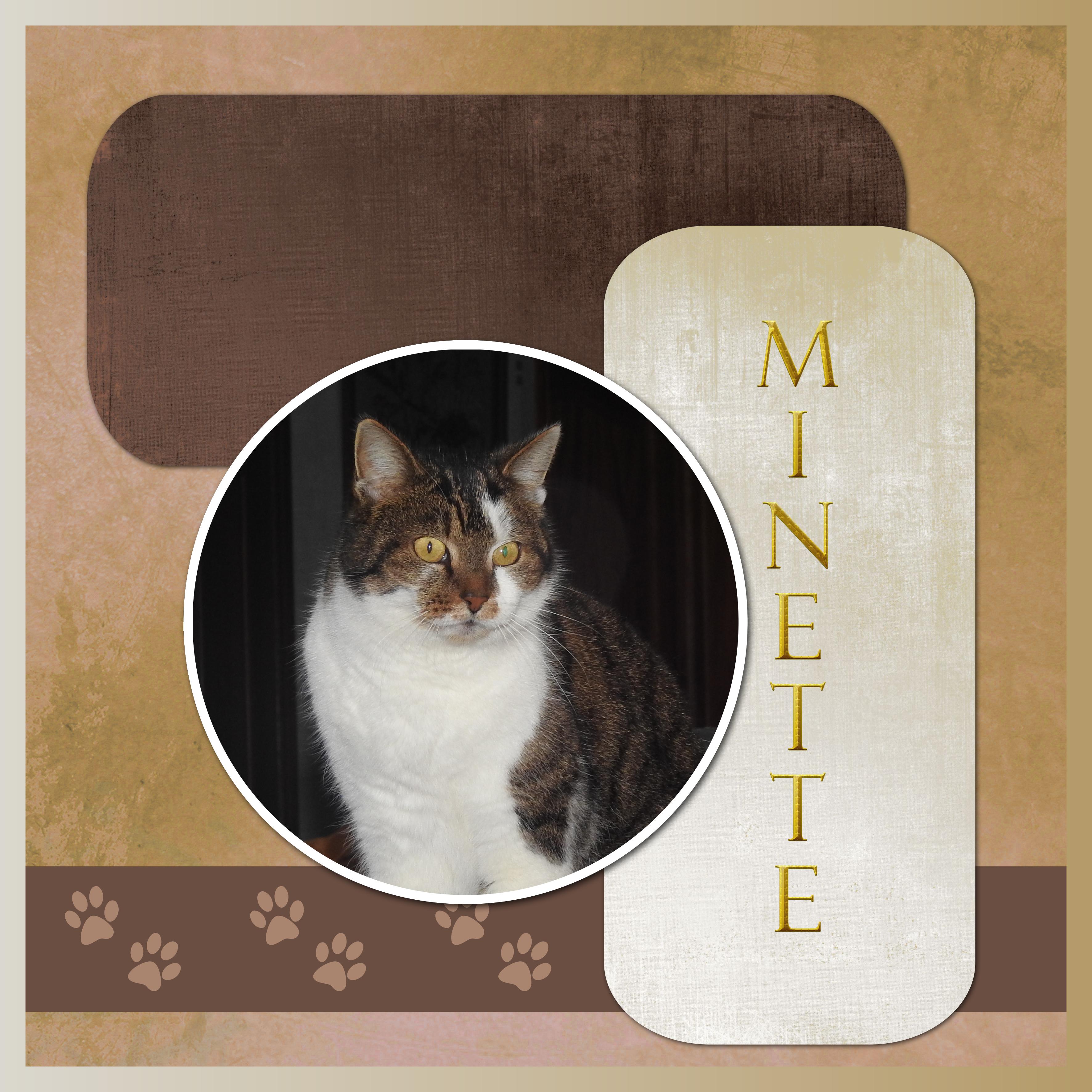 J-A165 - MINETTE.jpg