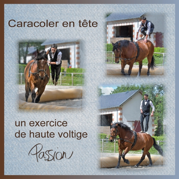 J-A169 - HAUTE VOLTIGE.jpg