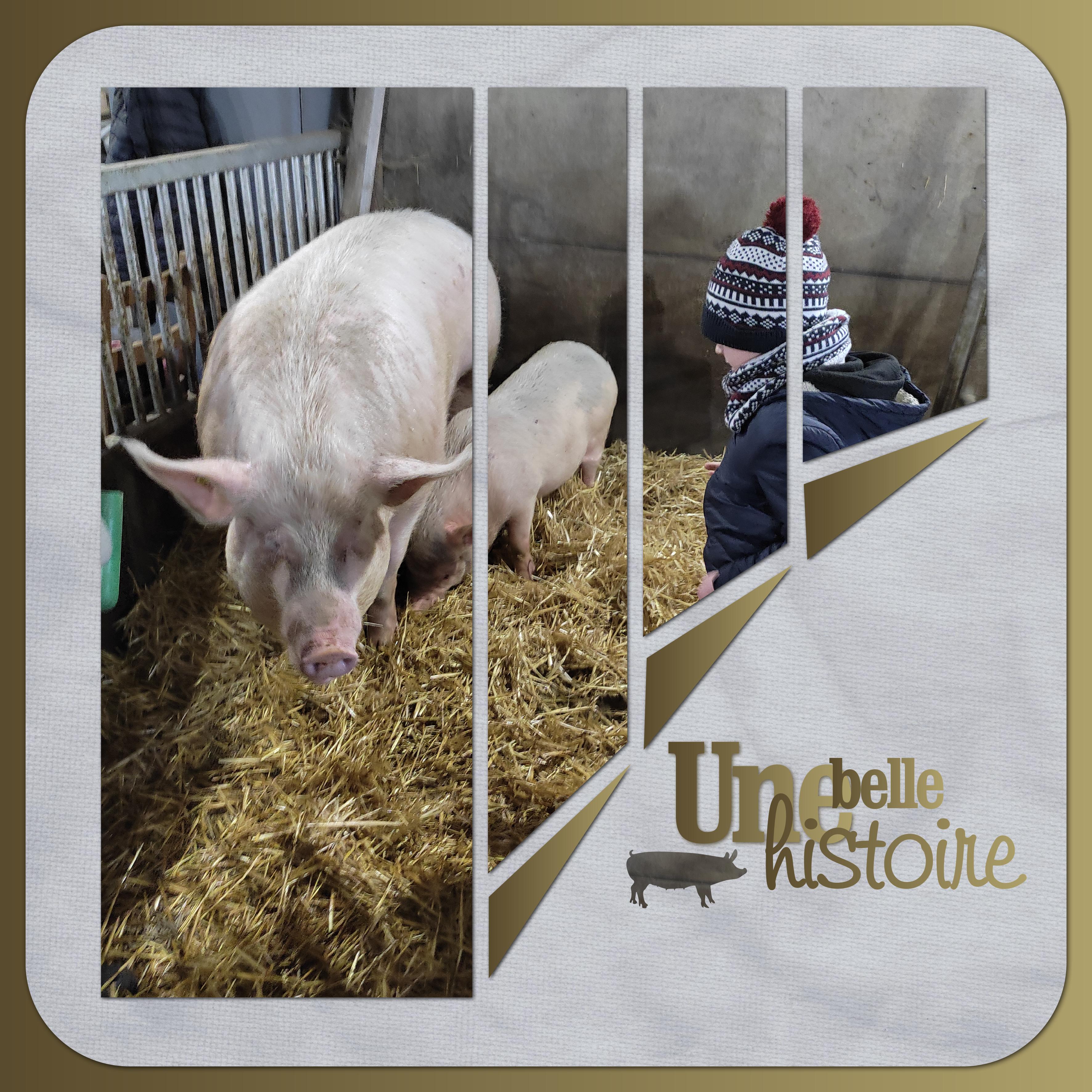 J-A179 - UNE BELLE HISTOIRE.jpg