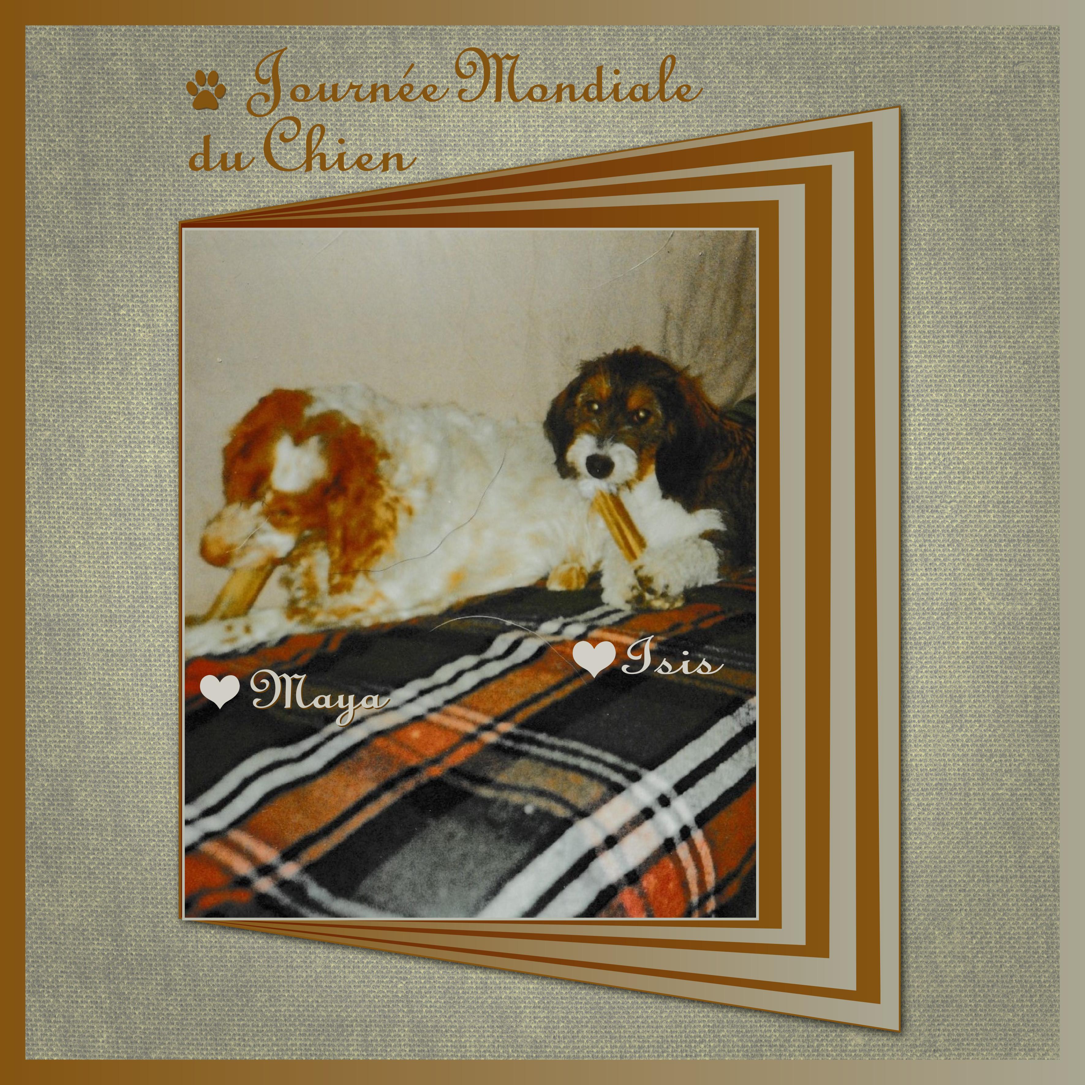 J-A18 - JOURNEE MONDIALE DU CHIEN.jpg