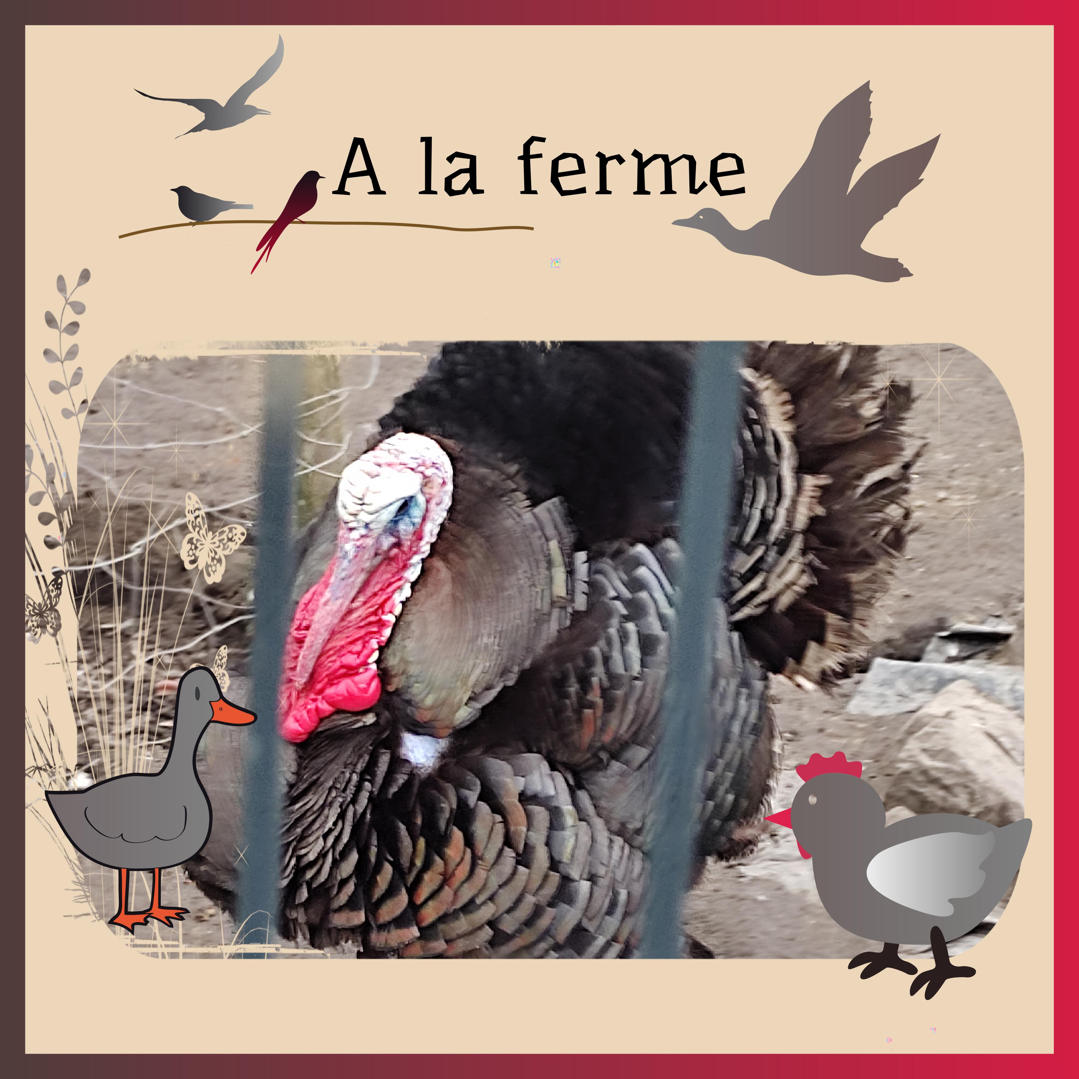J-A180 - A LA FERME.jpg