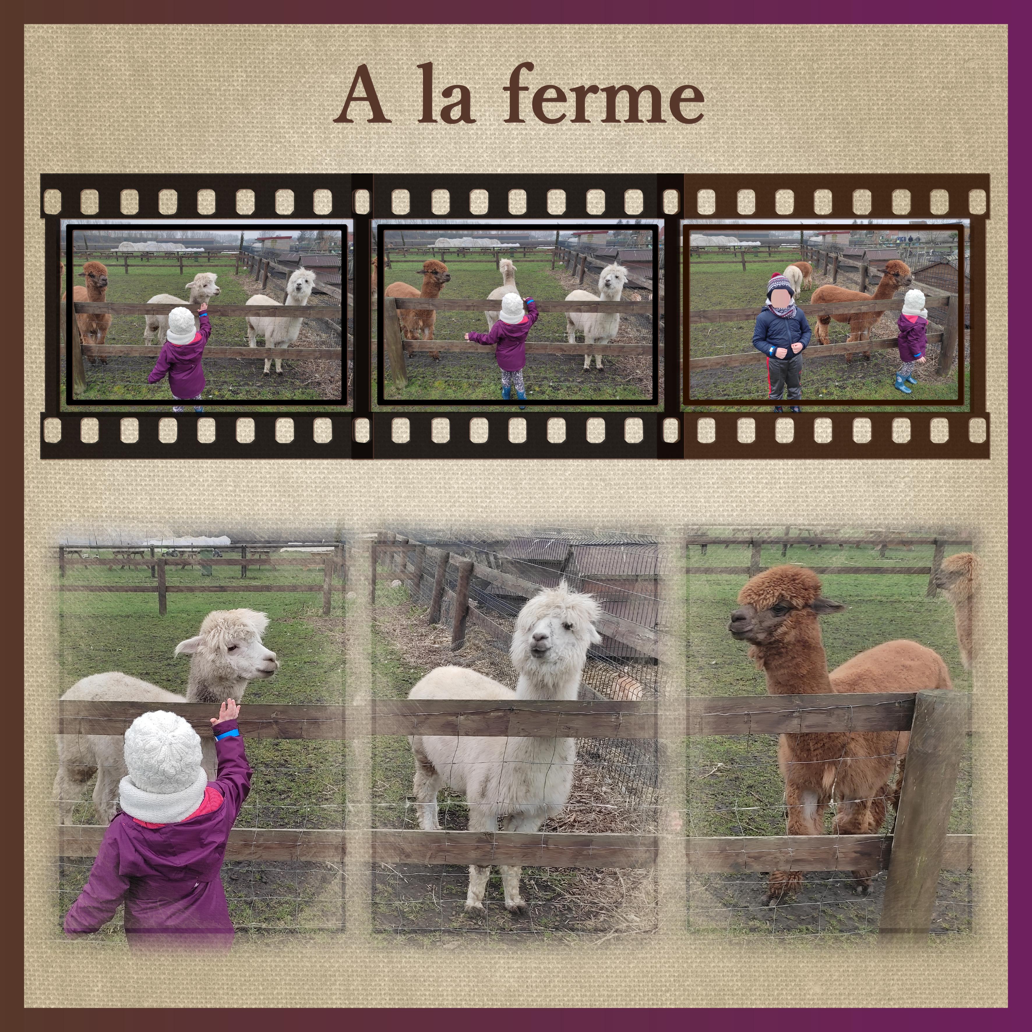 J-A181 - A LA FERME.jpg