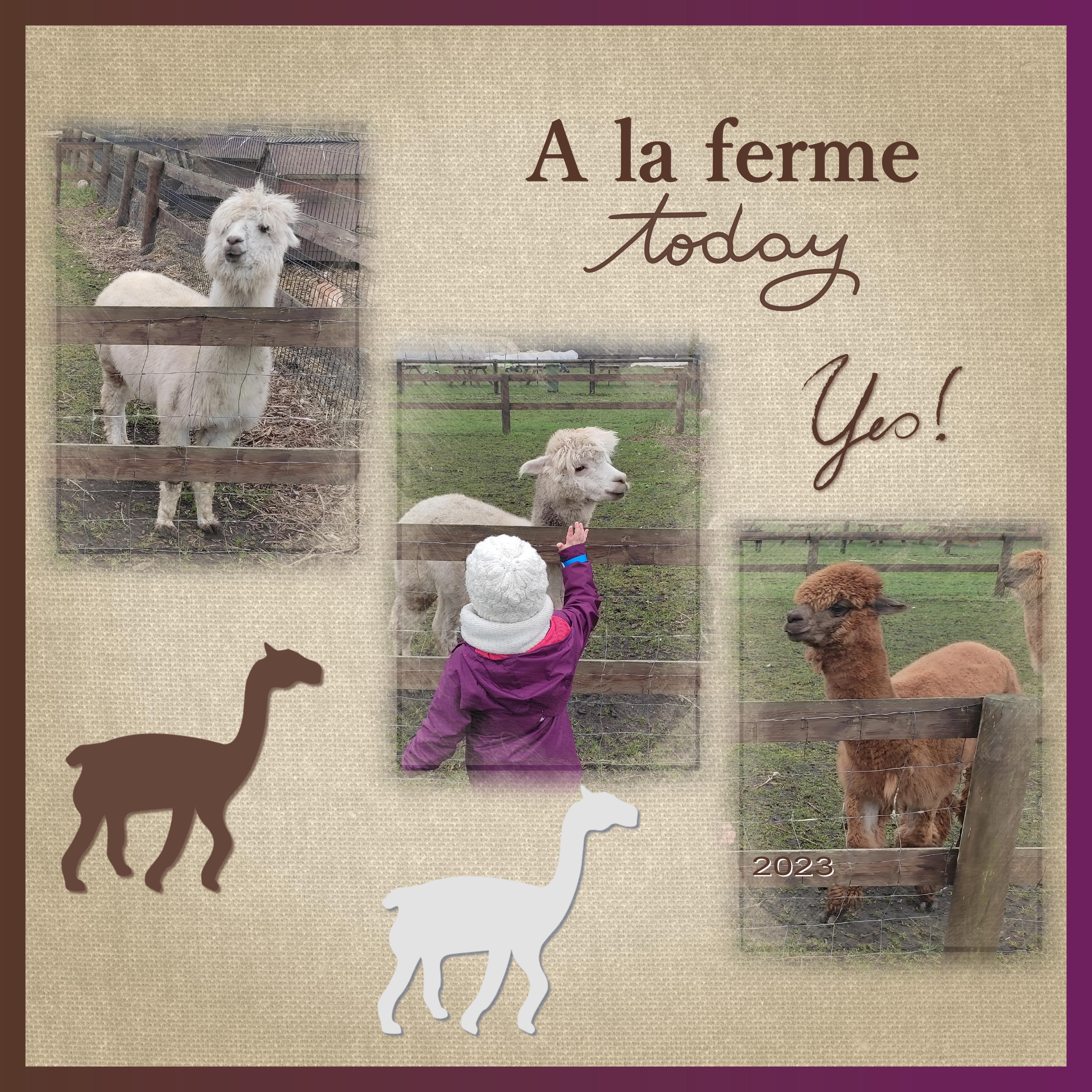 J-A182 - A LA FERME TODAY.jpg