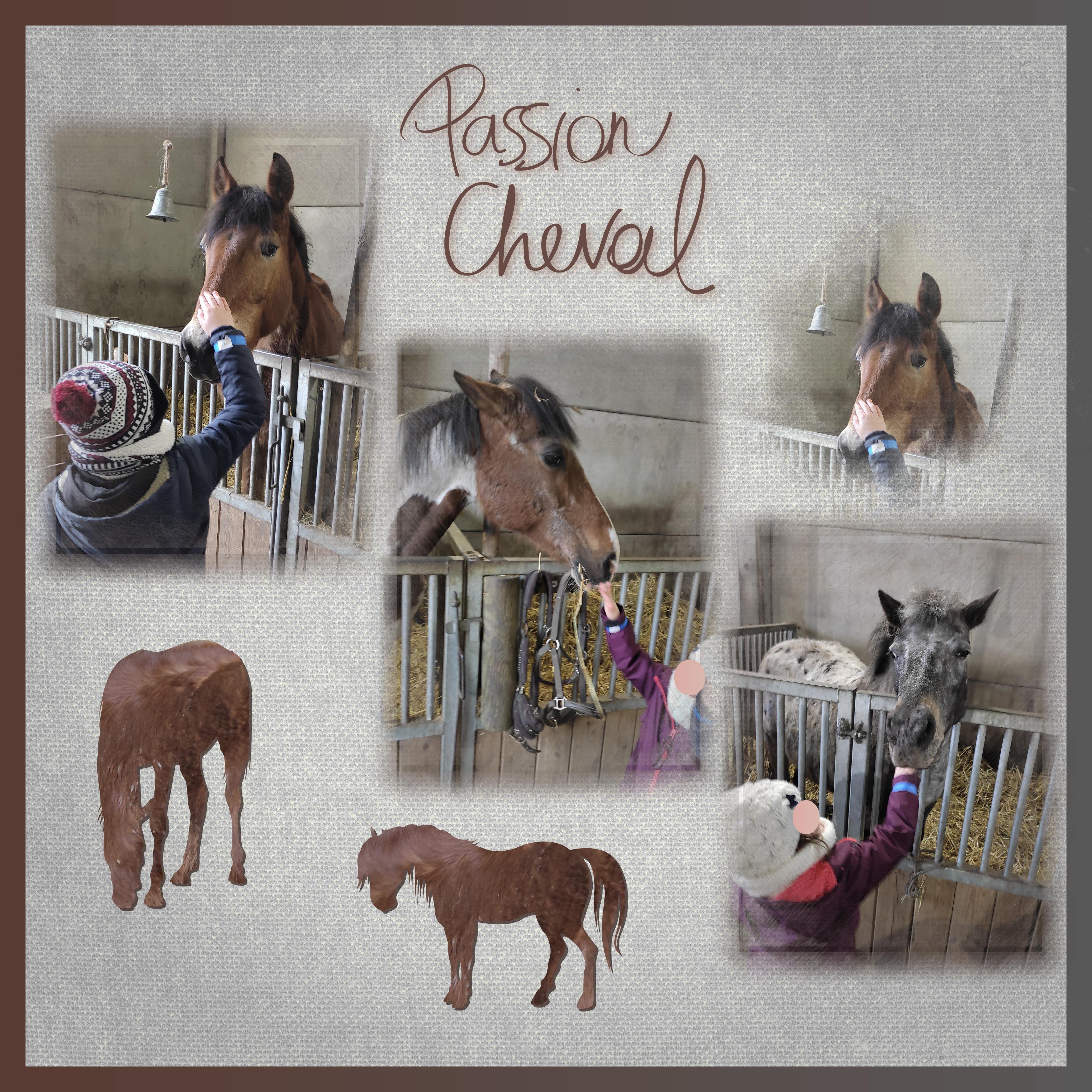 J-A183 - PASSION CHEVAL.jpg