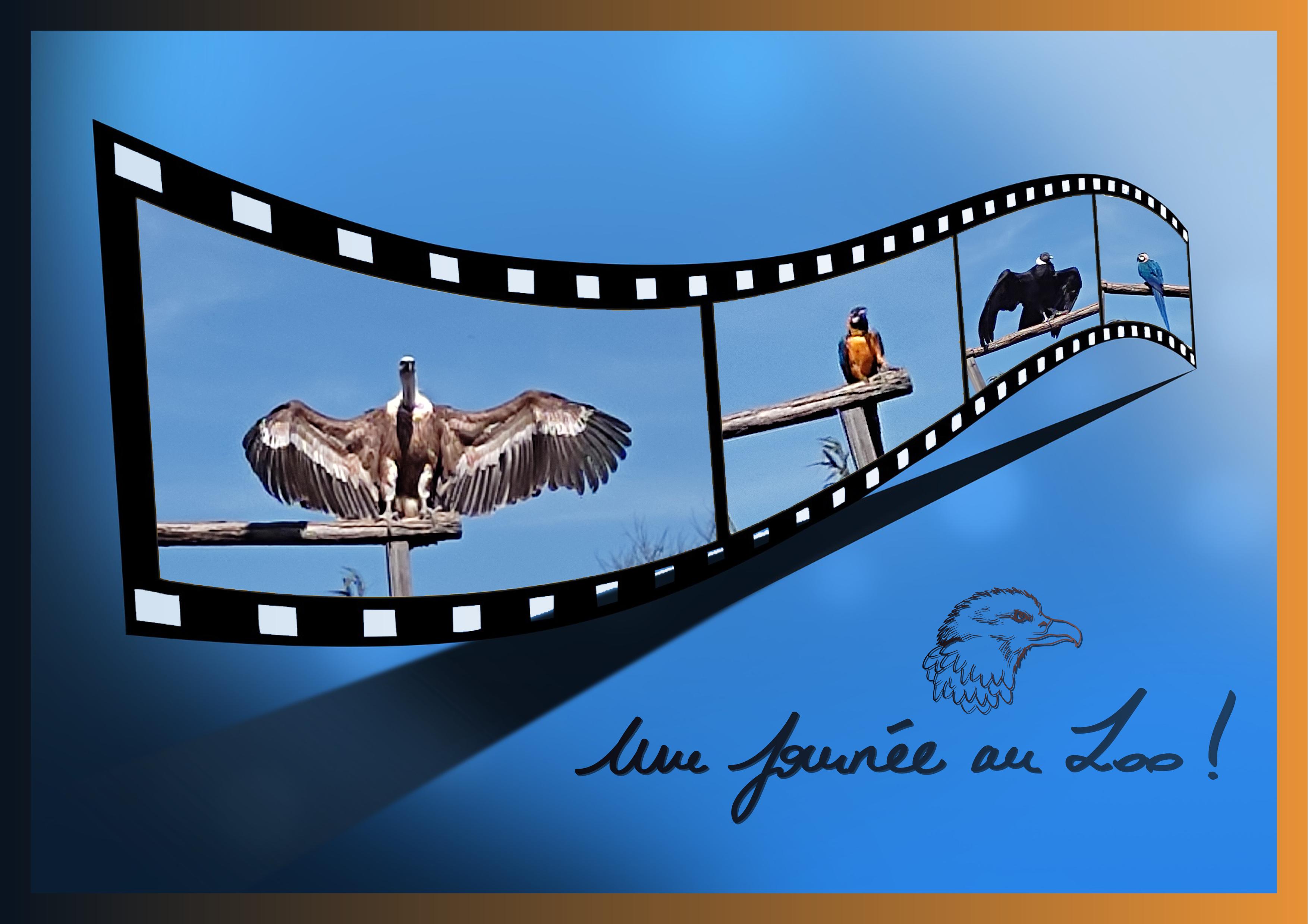 J-A186 - UNE JOURNEE AU ZOO.jpg