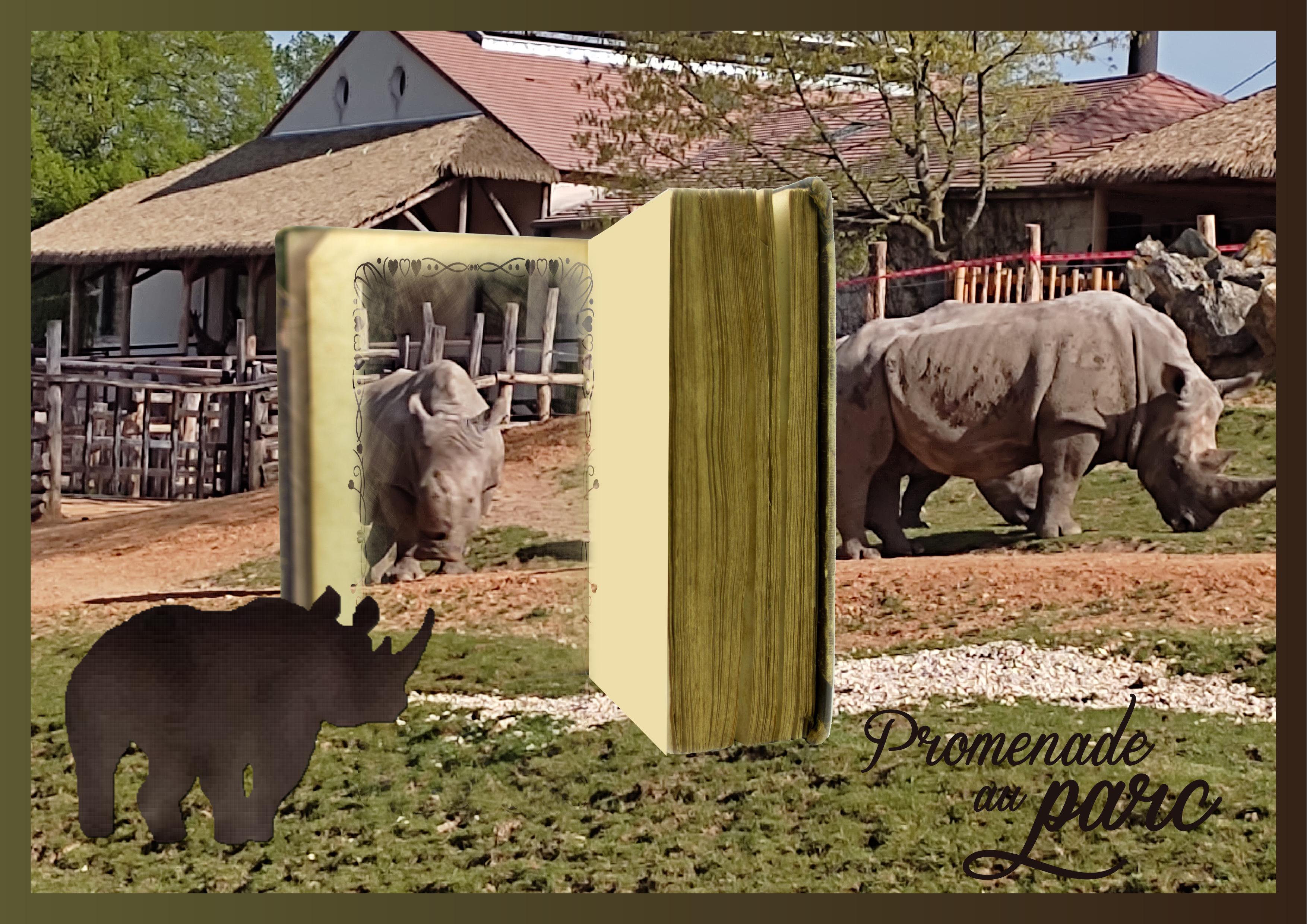 J-A187 - PROMENADE AU PARC.jpg