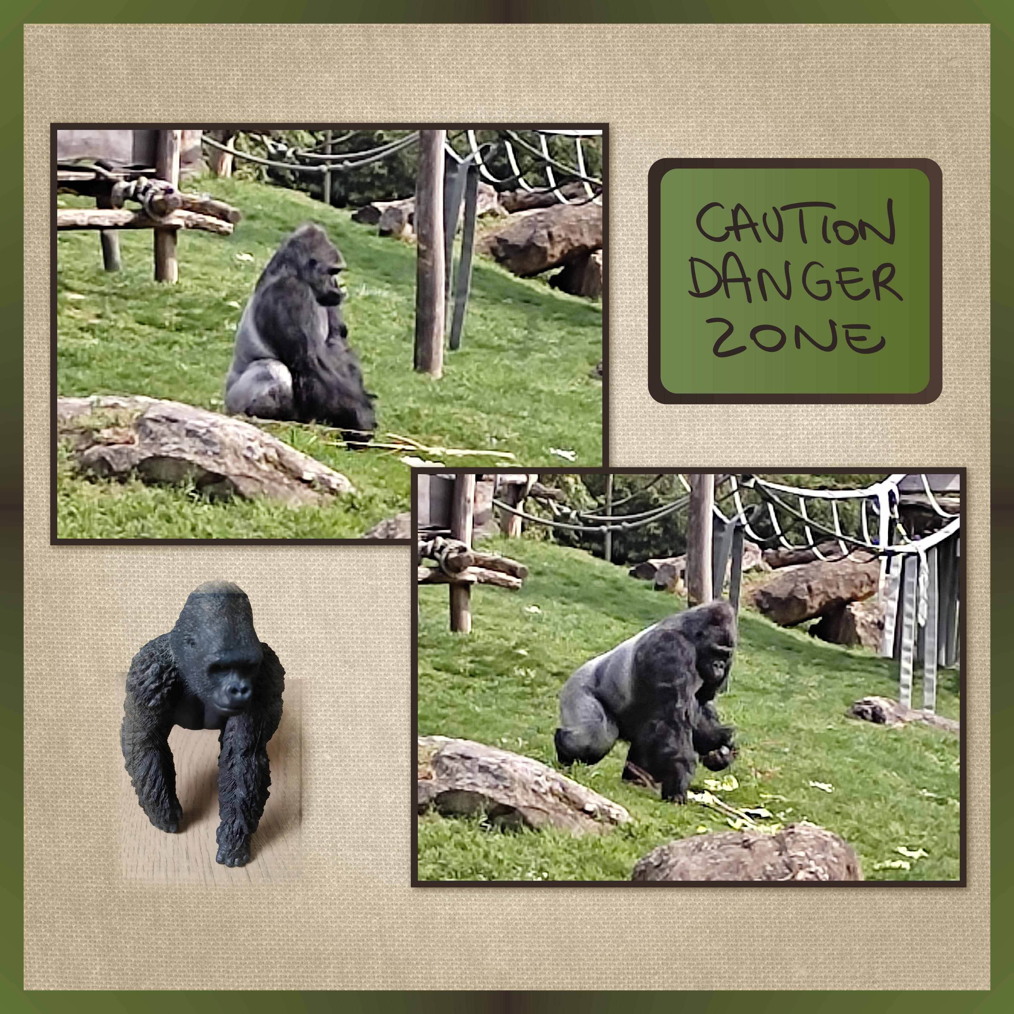 J-A189 - CAUTION DANGER ZONE.jpg