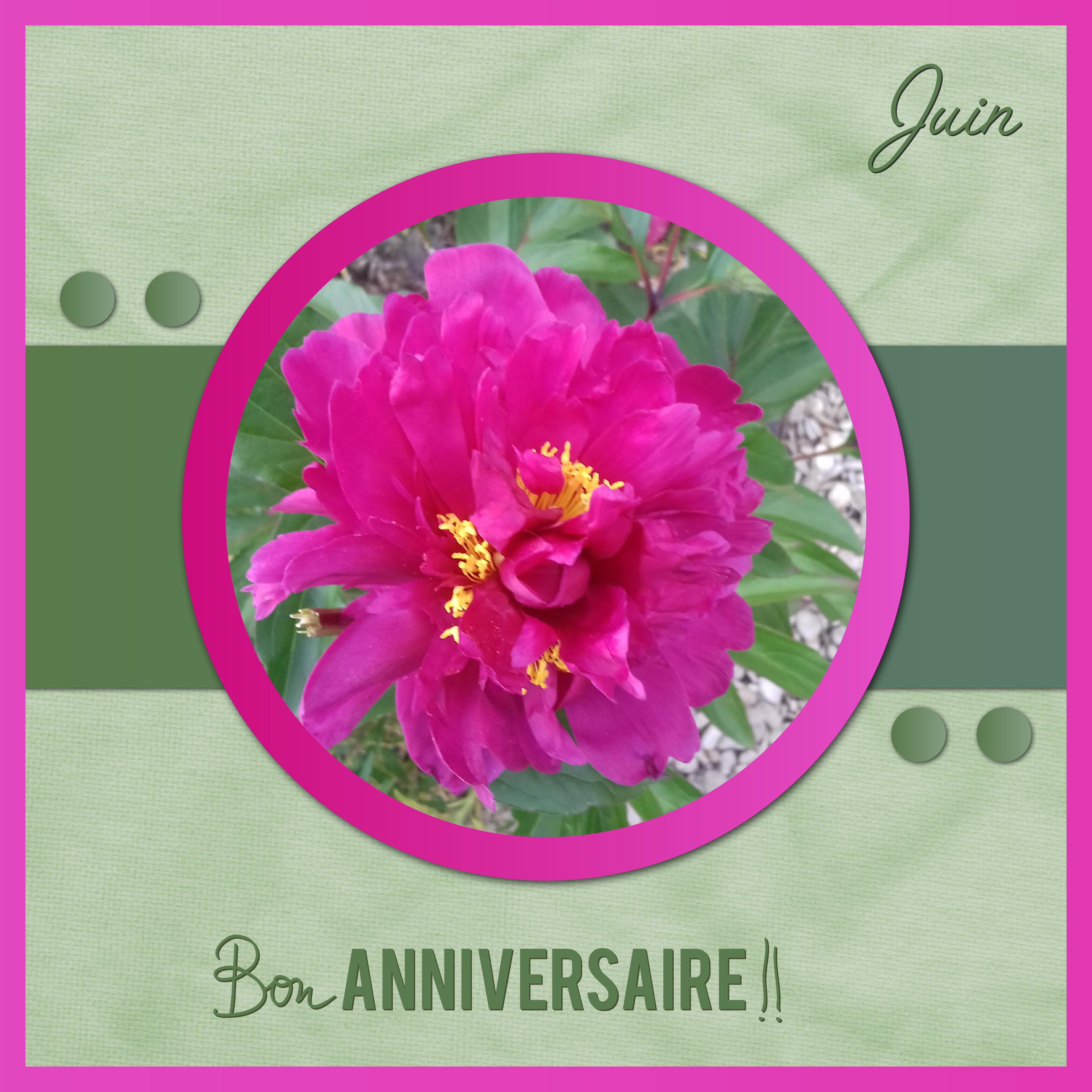 J-a19 - BON ANNIVERSAIRE.jpg