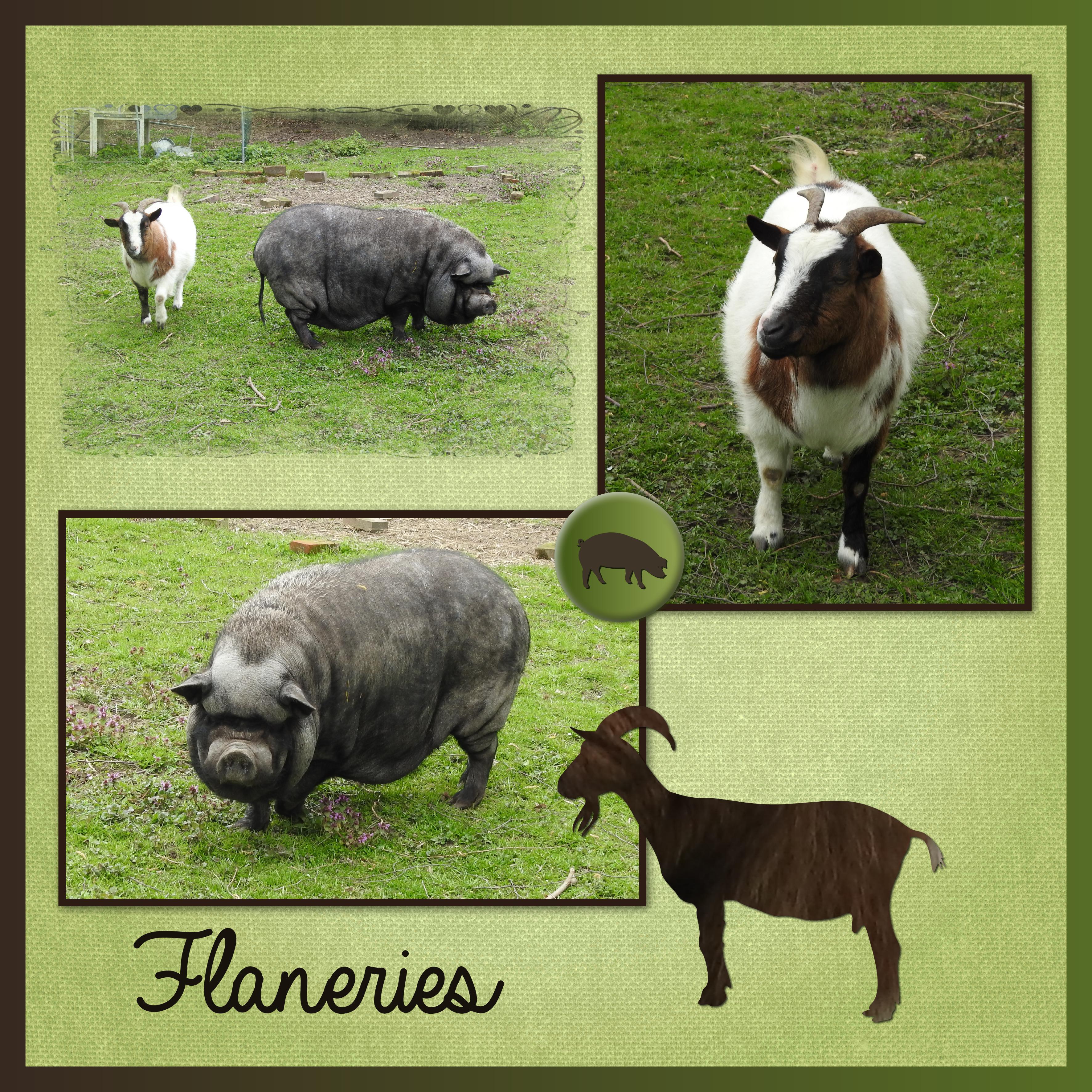 J-A190 - FLANERIES.jpg