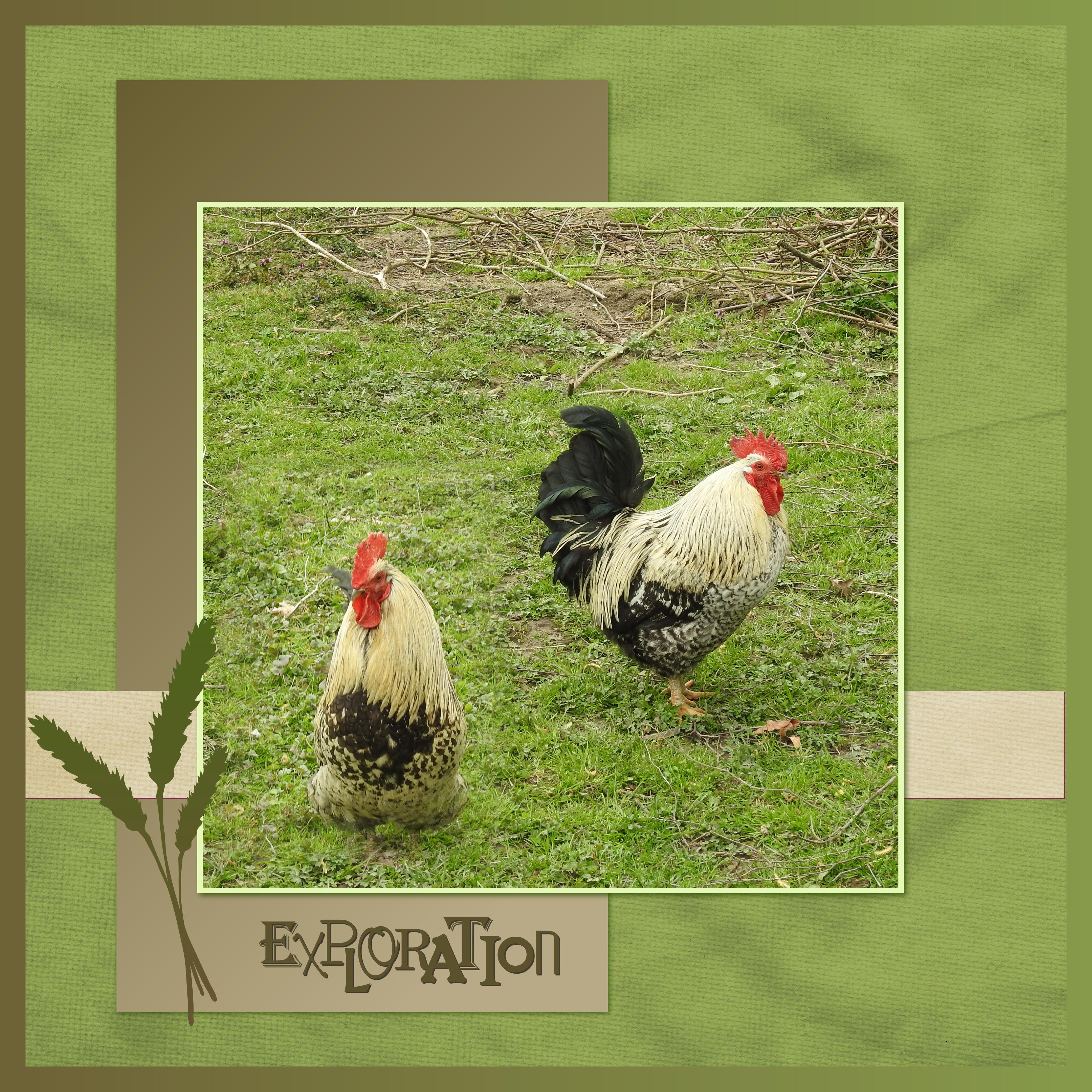 J-A192 - EXPLORATION.jpg