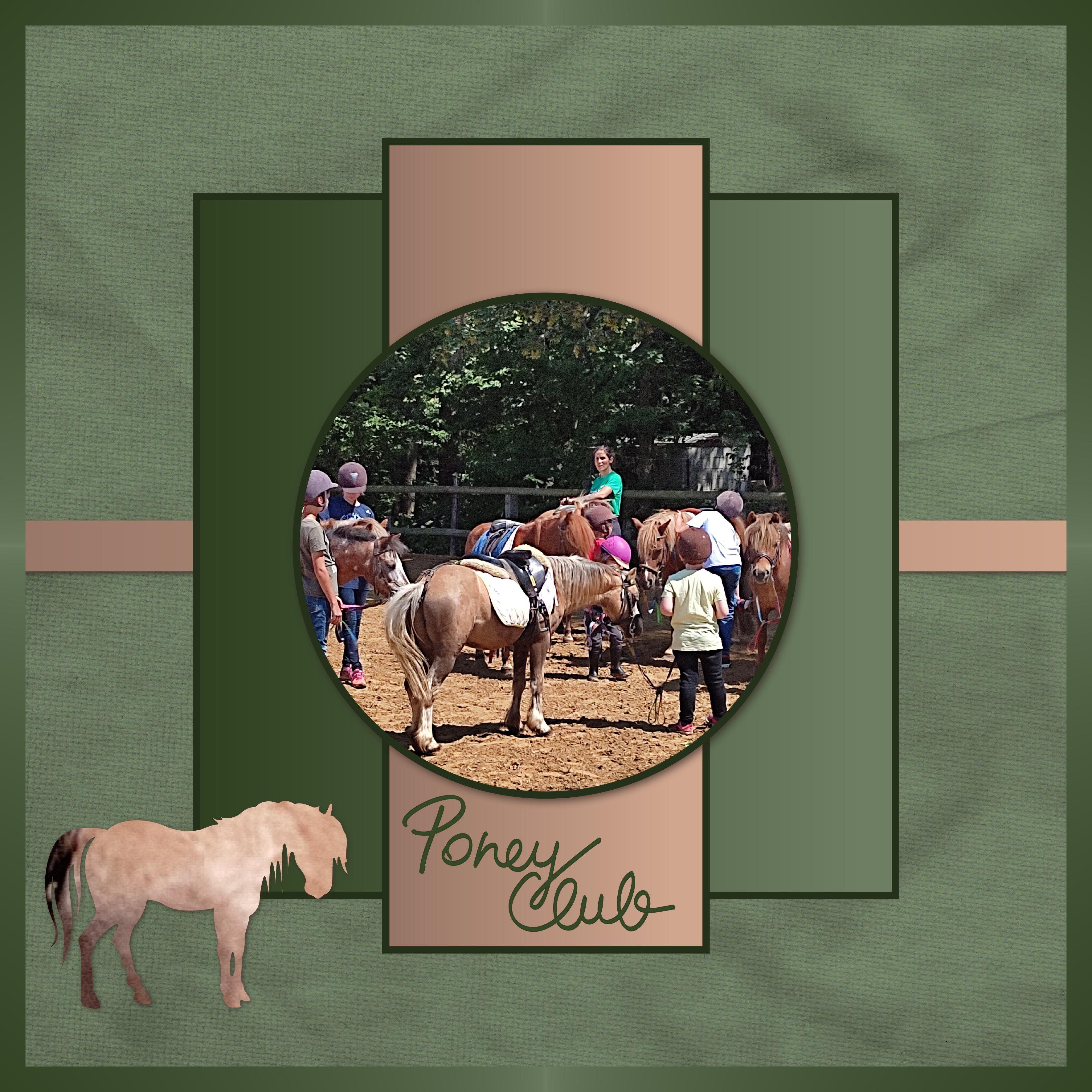 J-A193 - PONEY CLUB.jpg