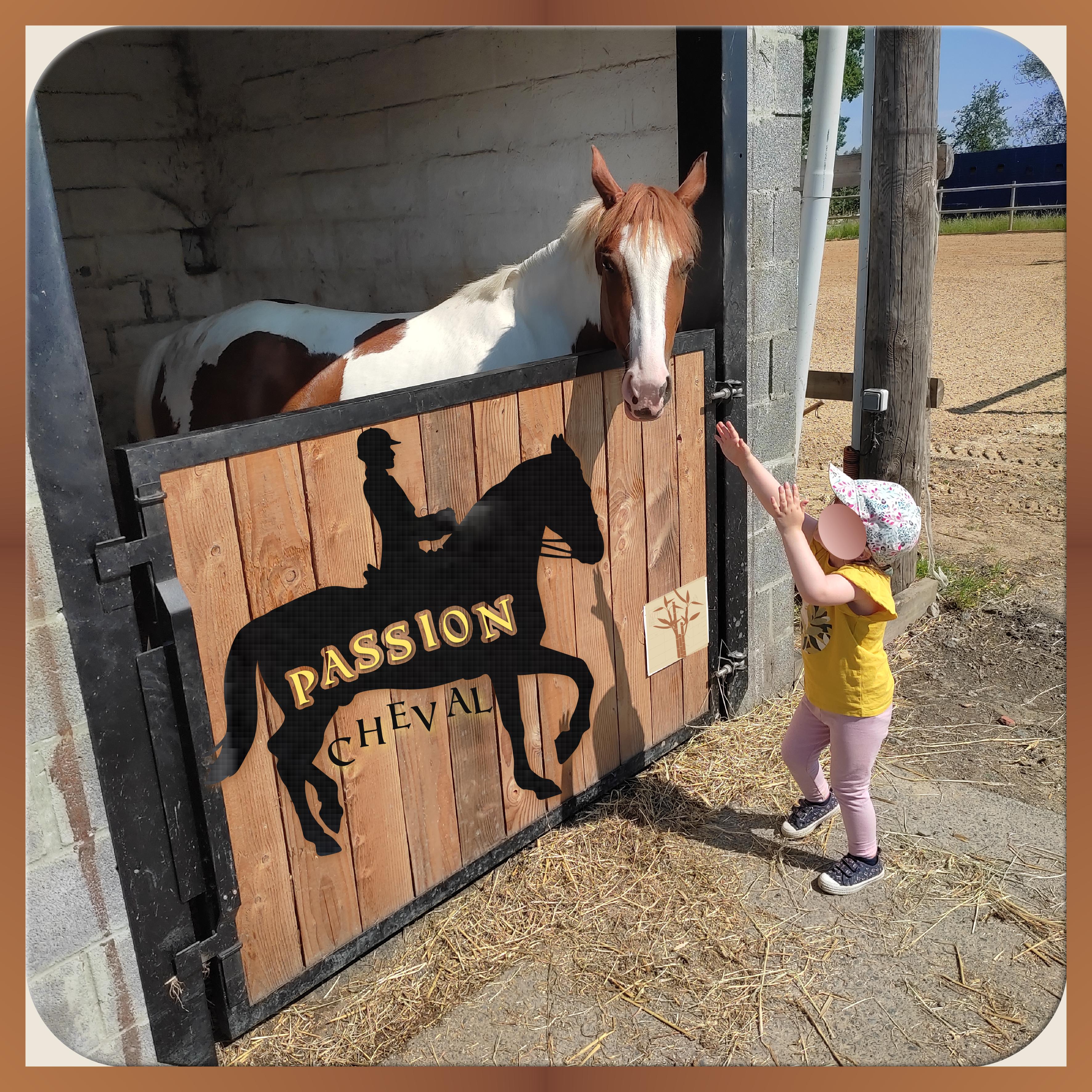 J-A194 - PASSION CHEVAL.jpg