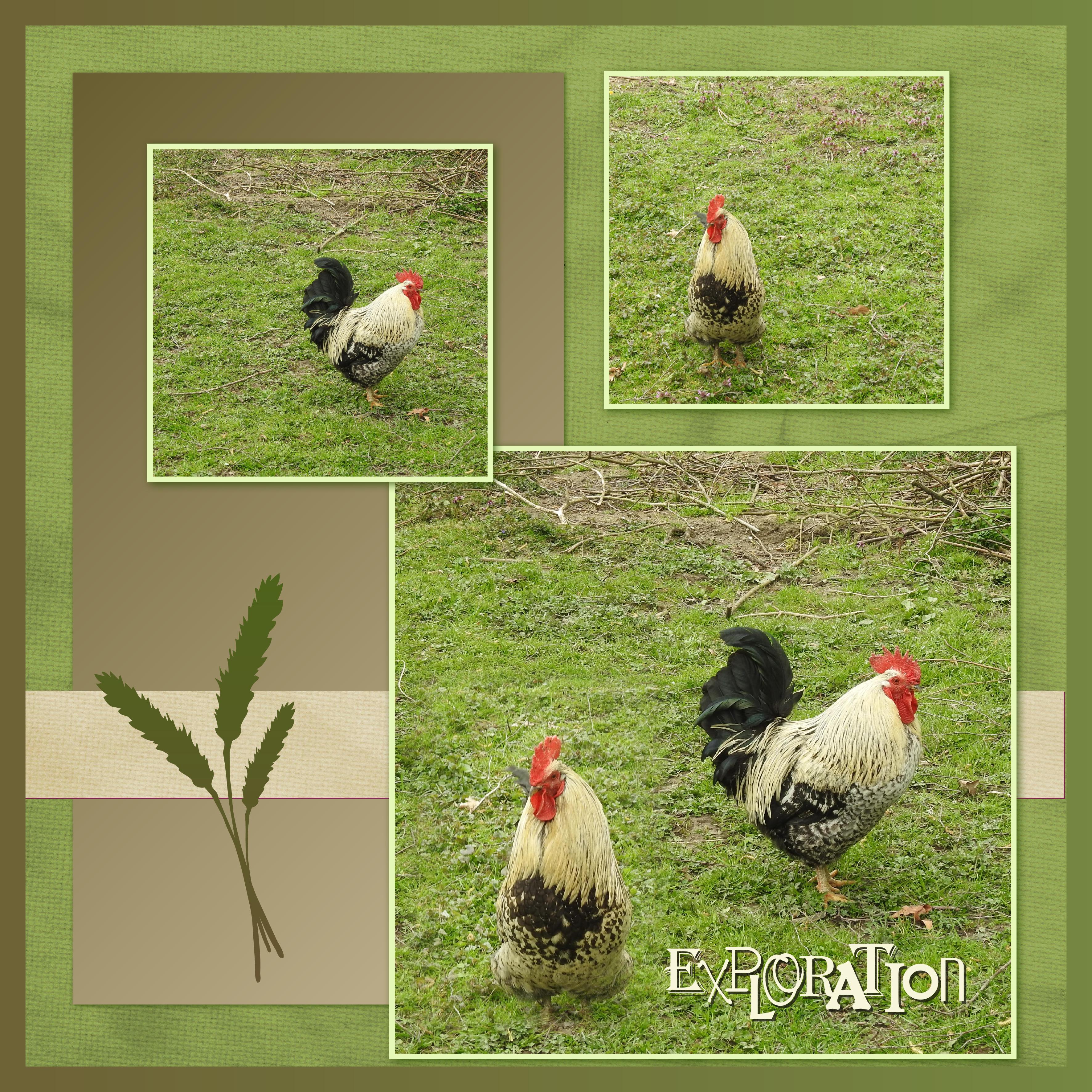 J-A195 - EXPLORATION.jpg