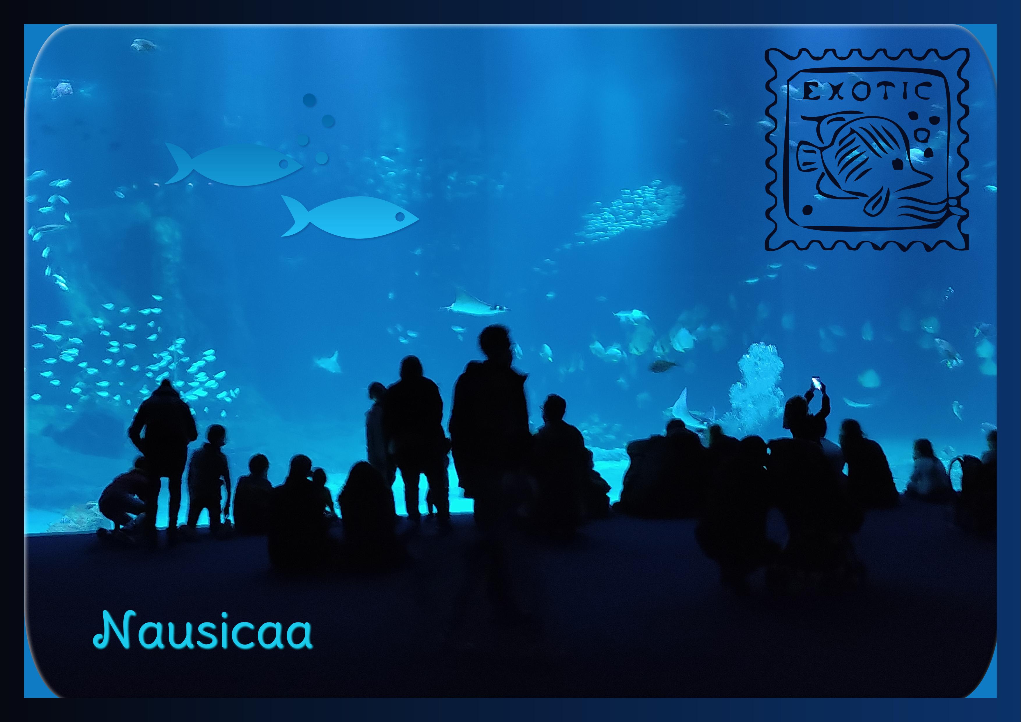 J-A196 - NAUSICAA.jpg