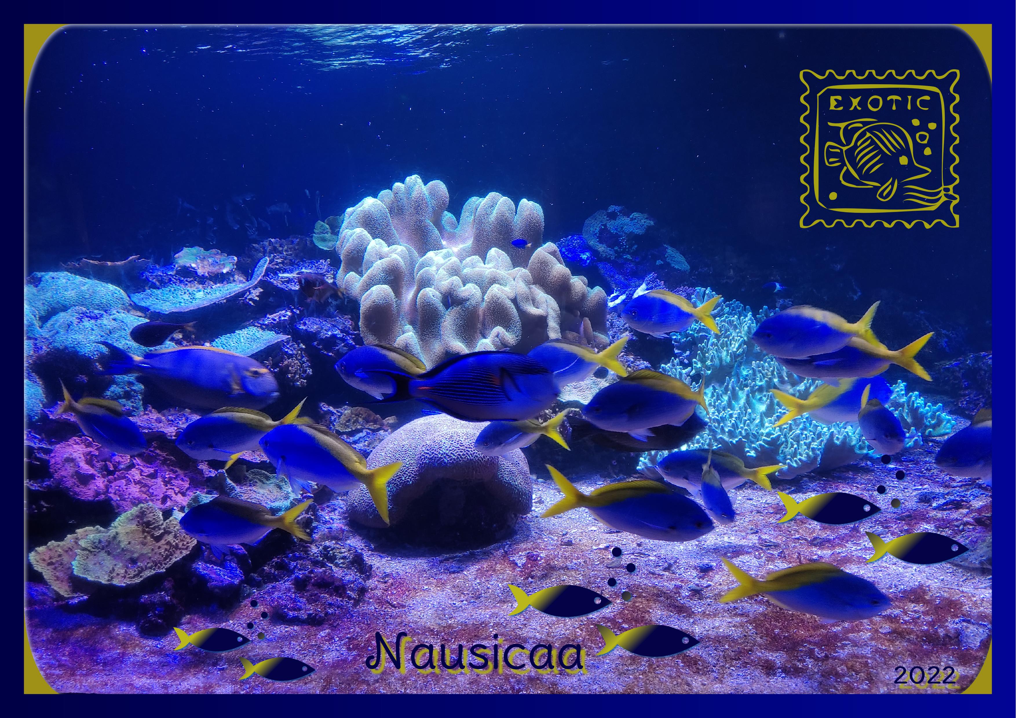 J-A197 - NAUSICAA.jpg