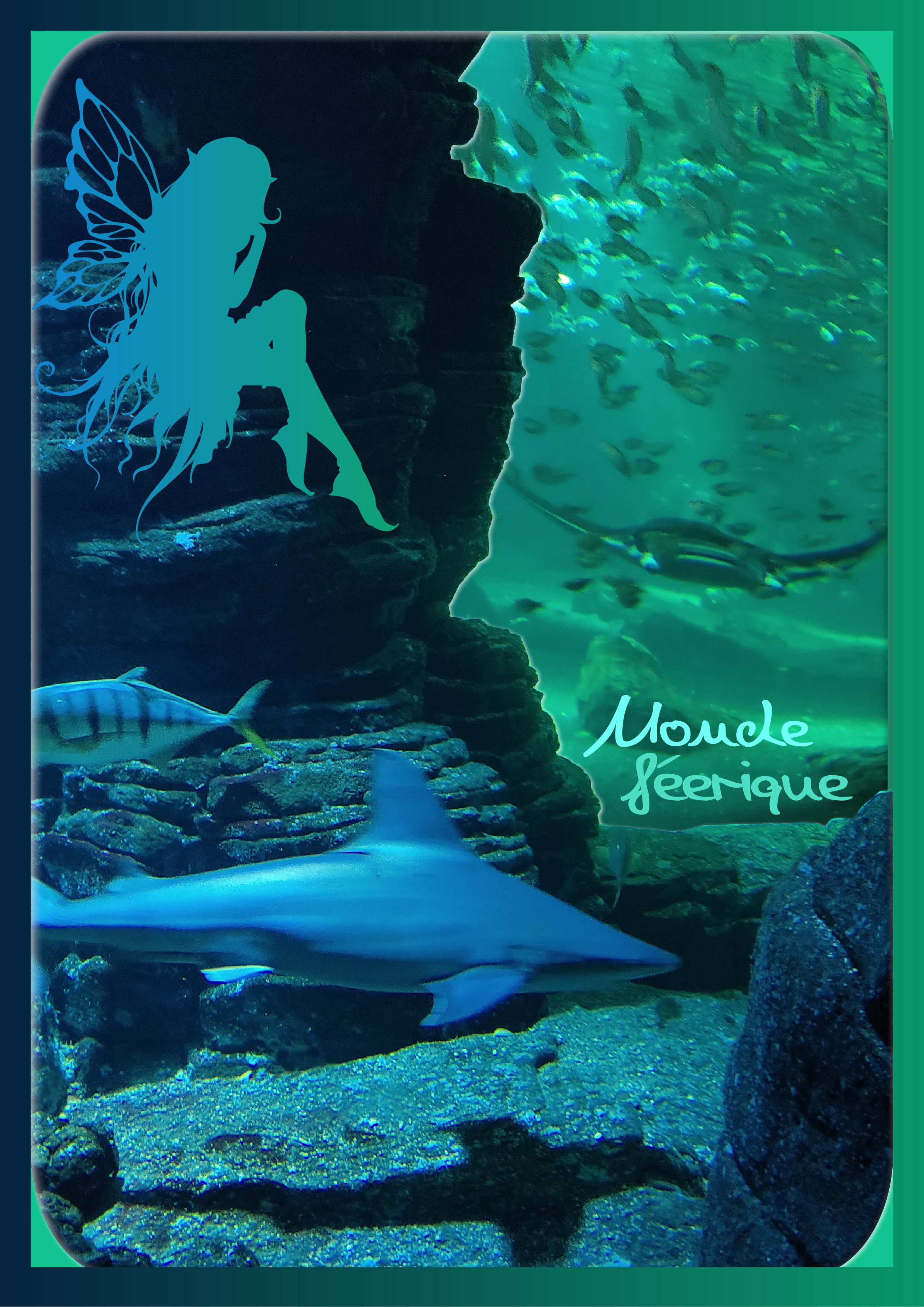 J-A199 - MONDE FEERIQUE.jpg