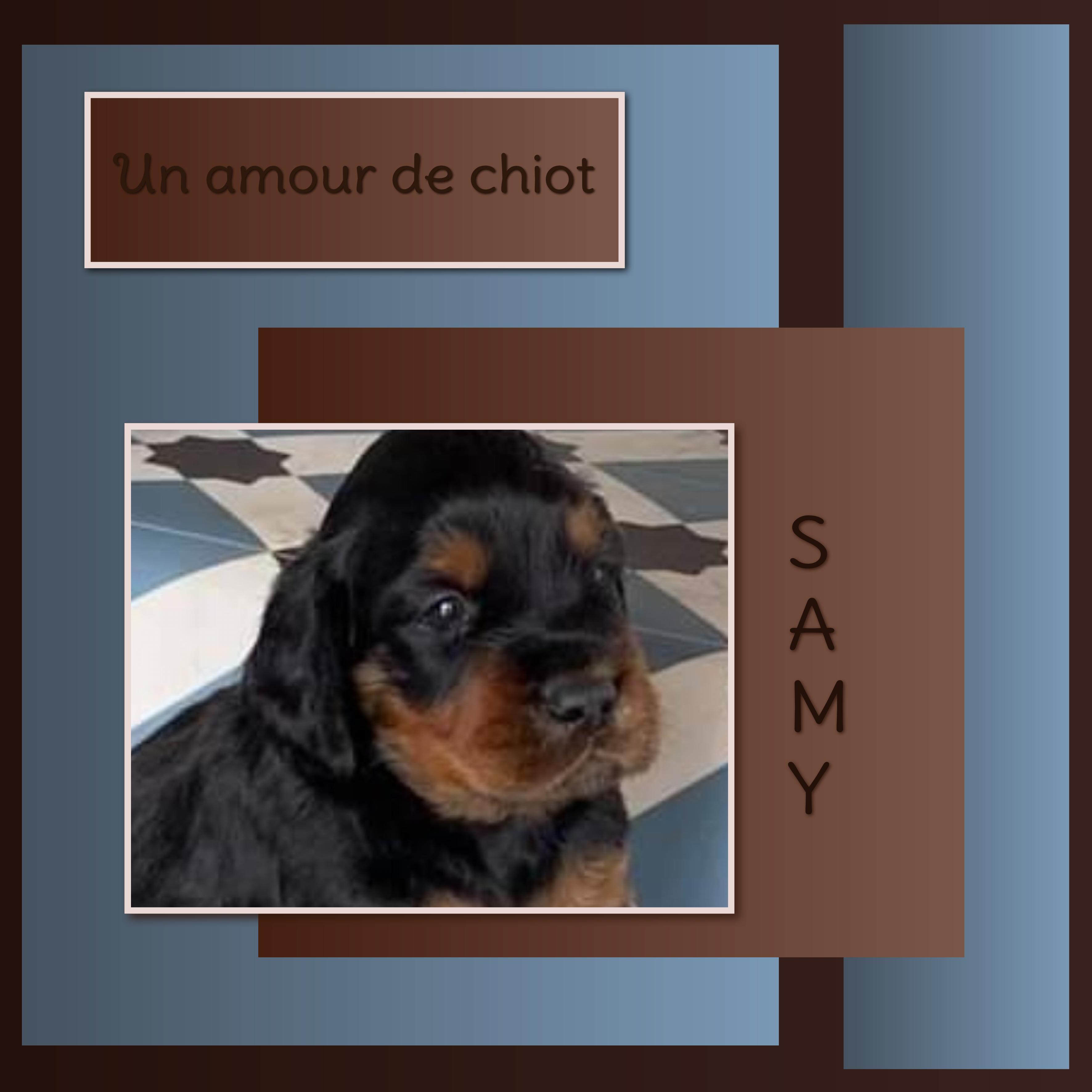 J-A2 - UN AMOUR DE CHIOT.jpg