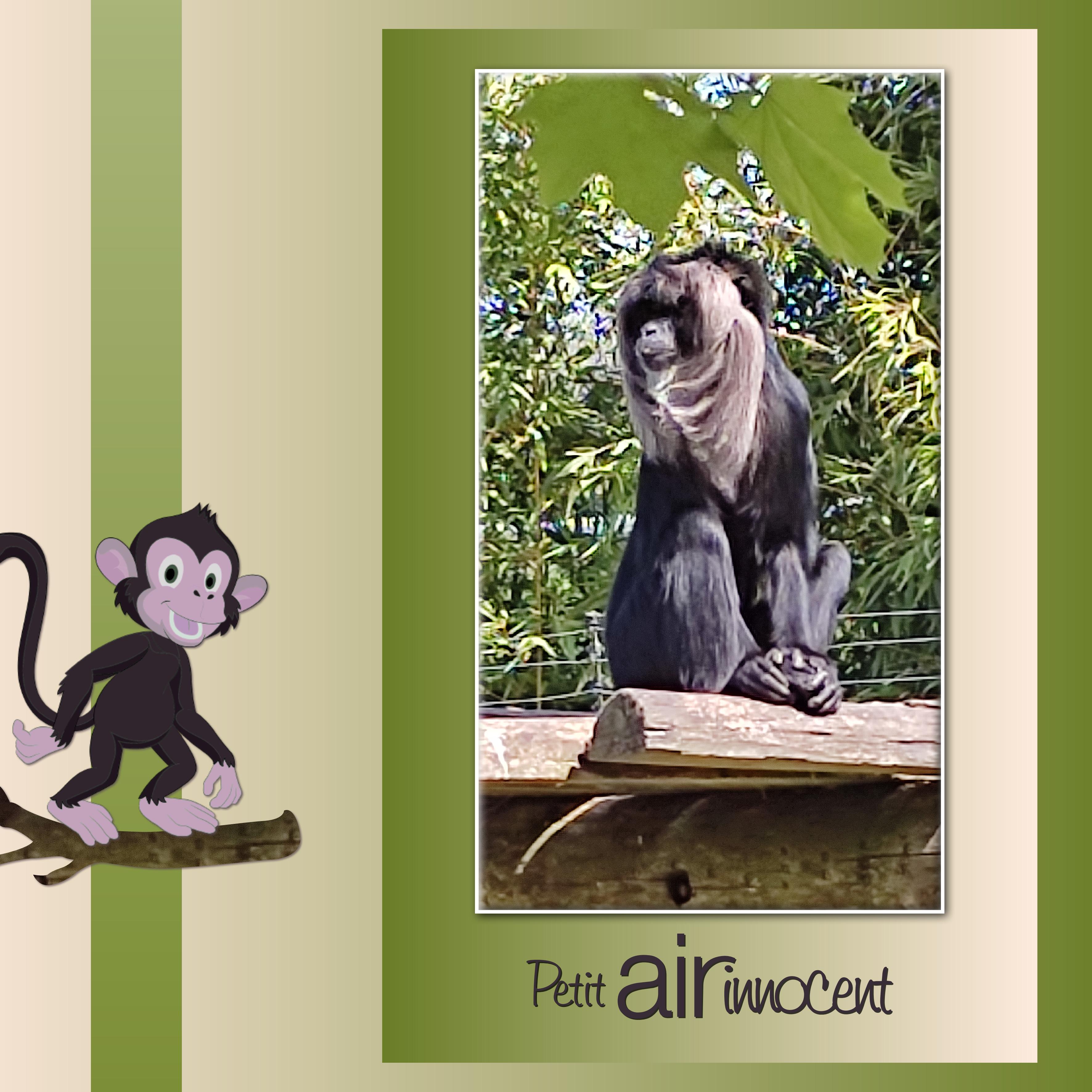 J-A201 - PETIT AIR INNOCENT.jpg