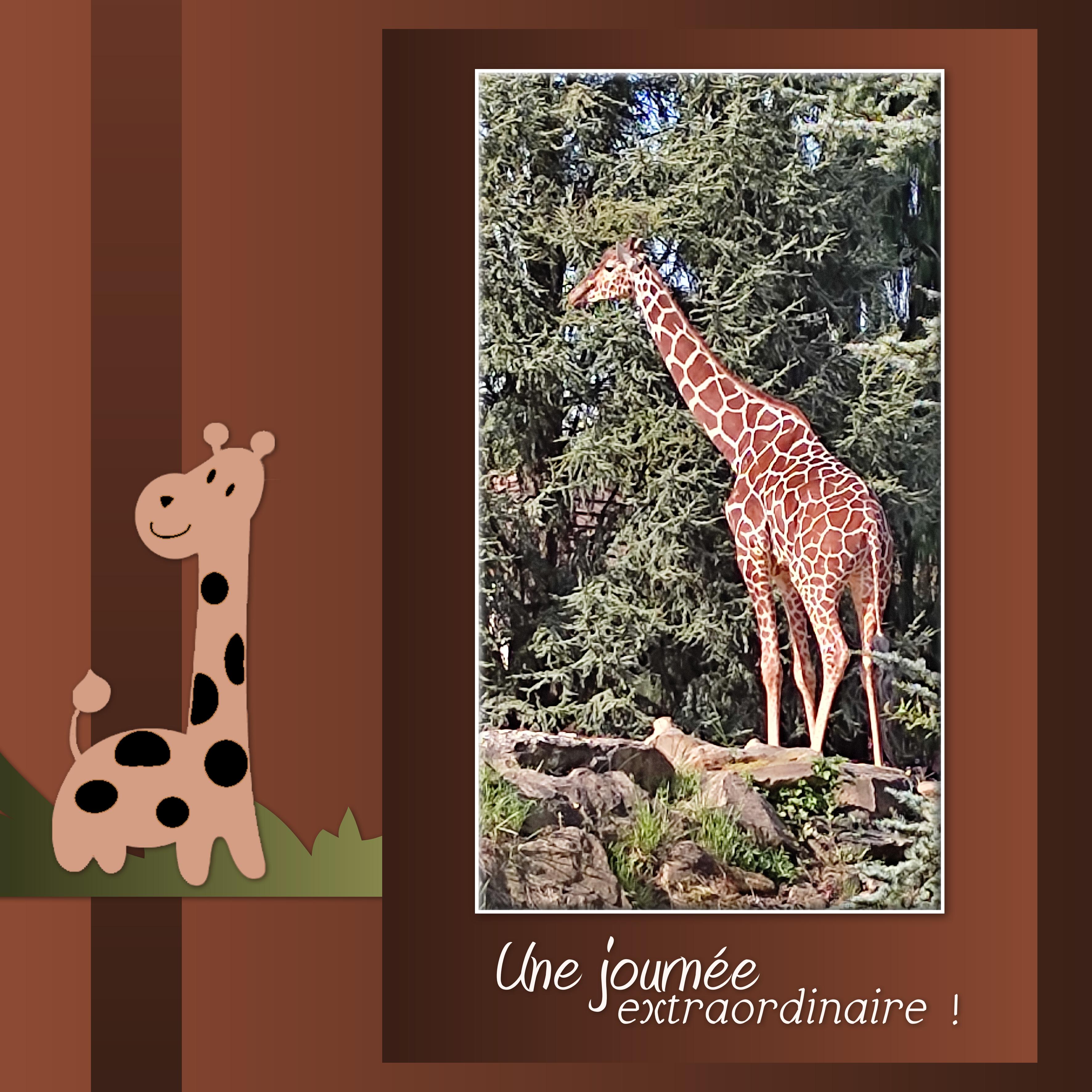 J-A202 - UNE JOURNEE EXTRAORDINAIRE.jpg