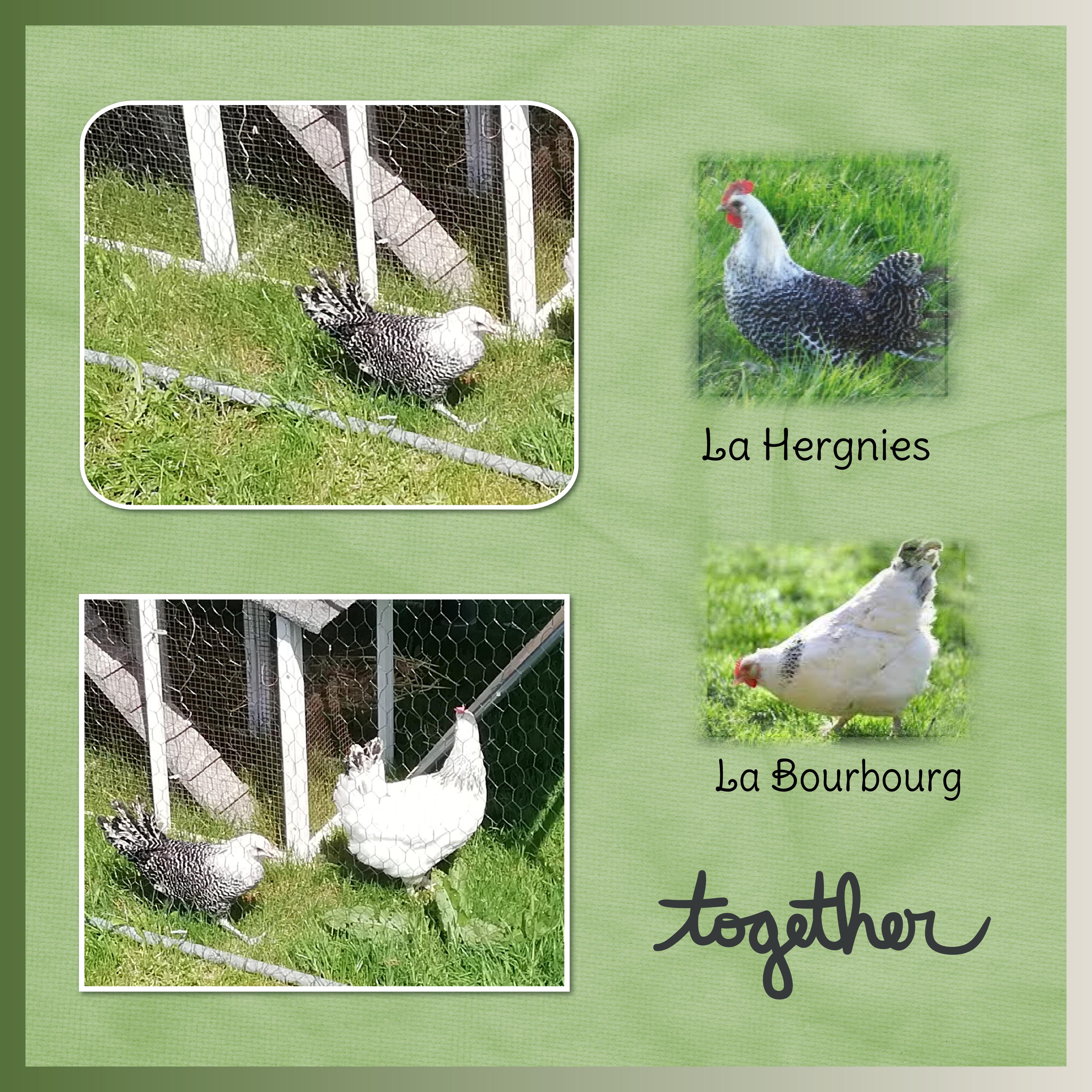 J-A204 - TOGETHER.jpg