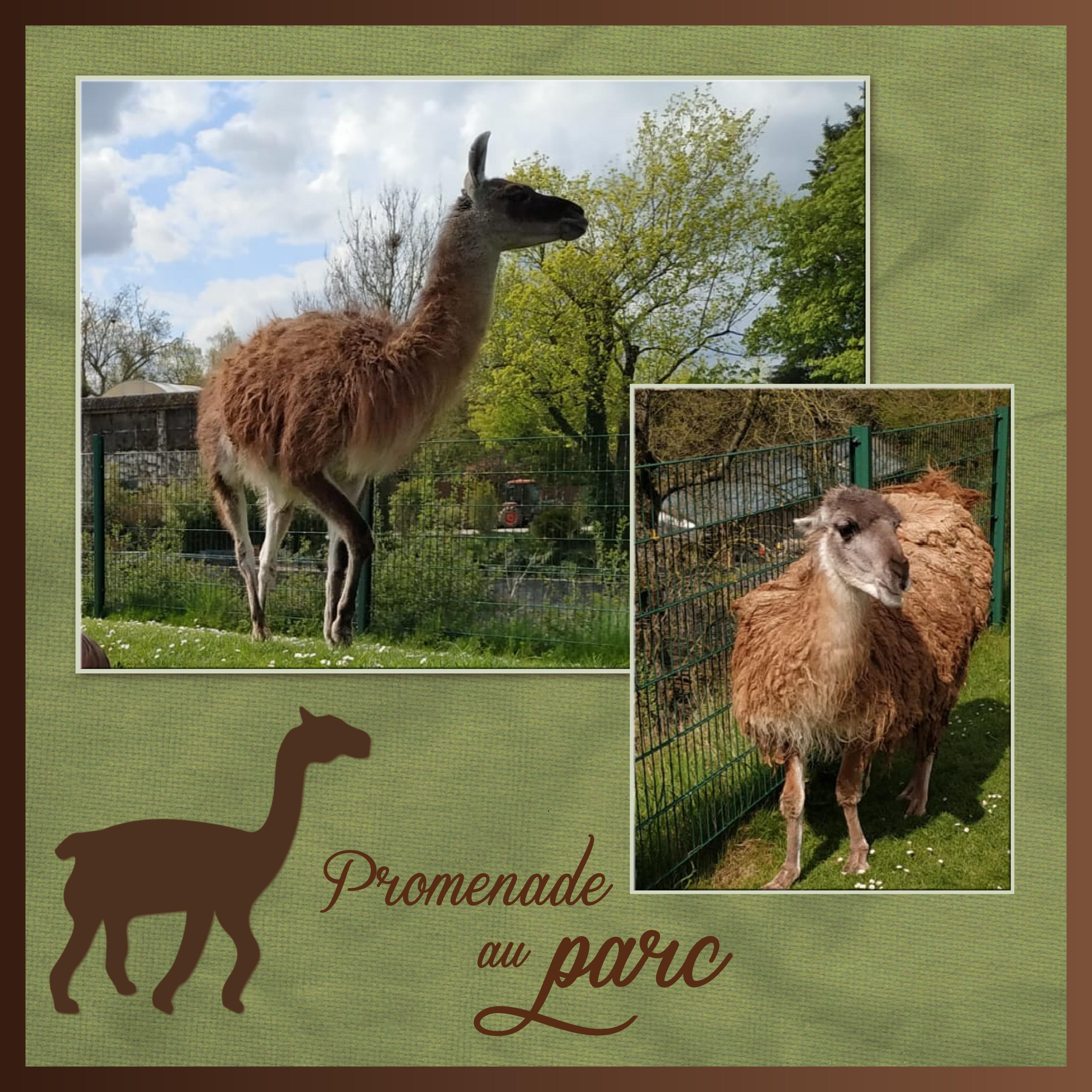 J-A206 - PROMENADE AU PARC.jpg