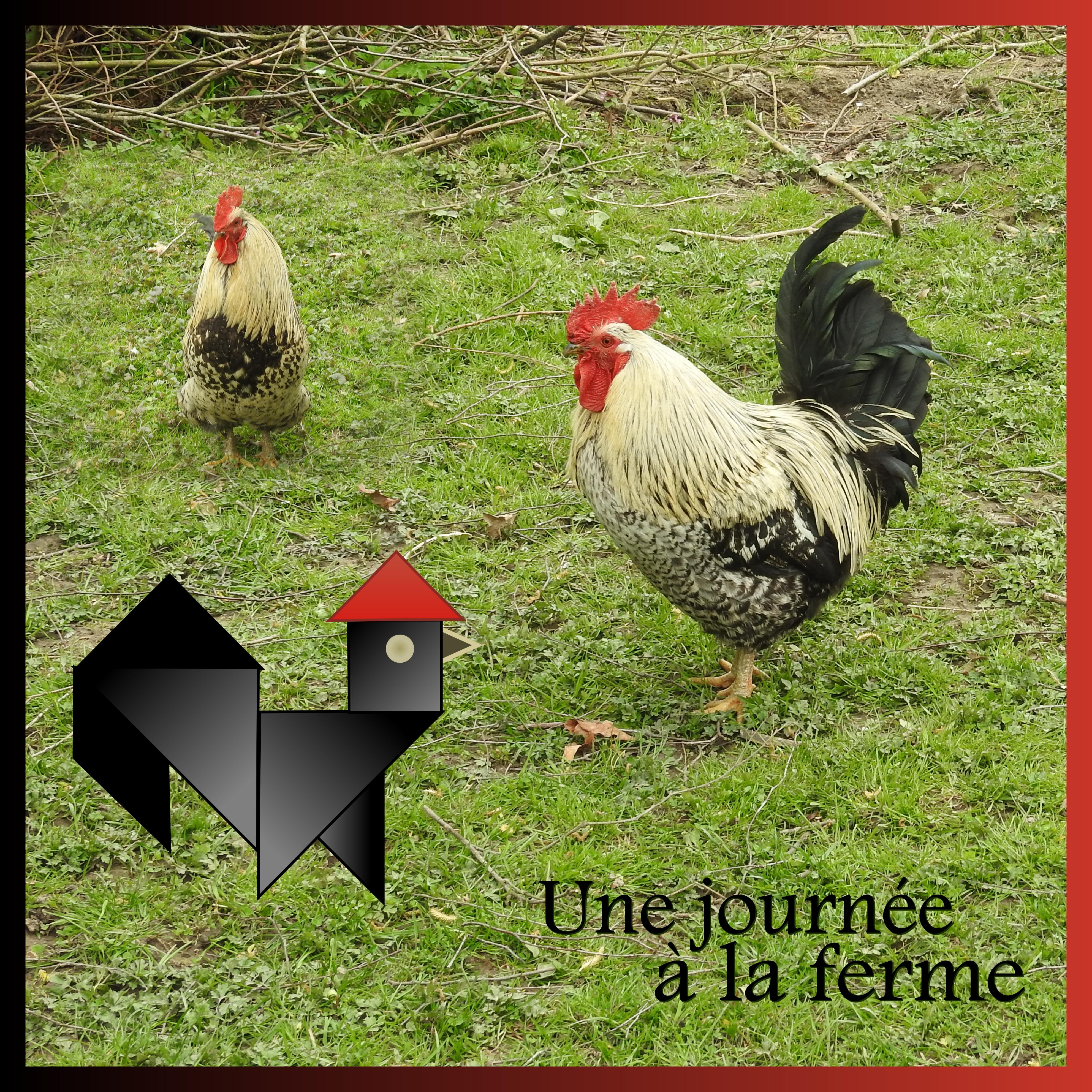 J-A208 - UNE JOURNEE A LA FERME.jpg