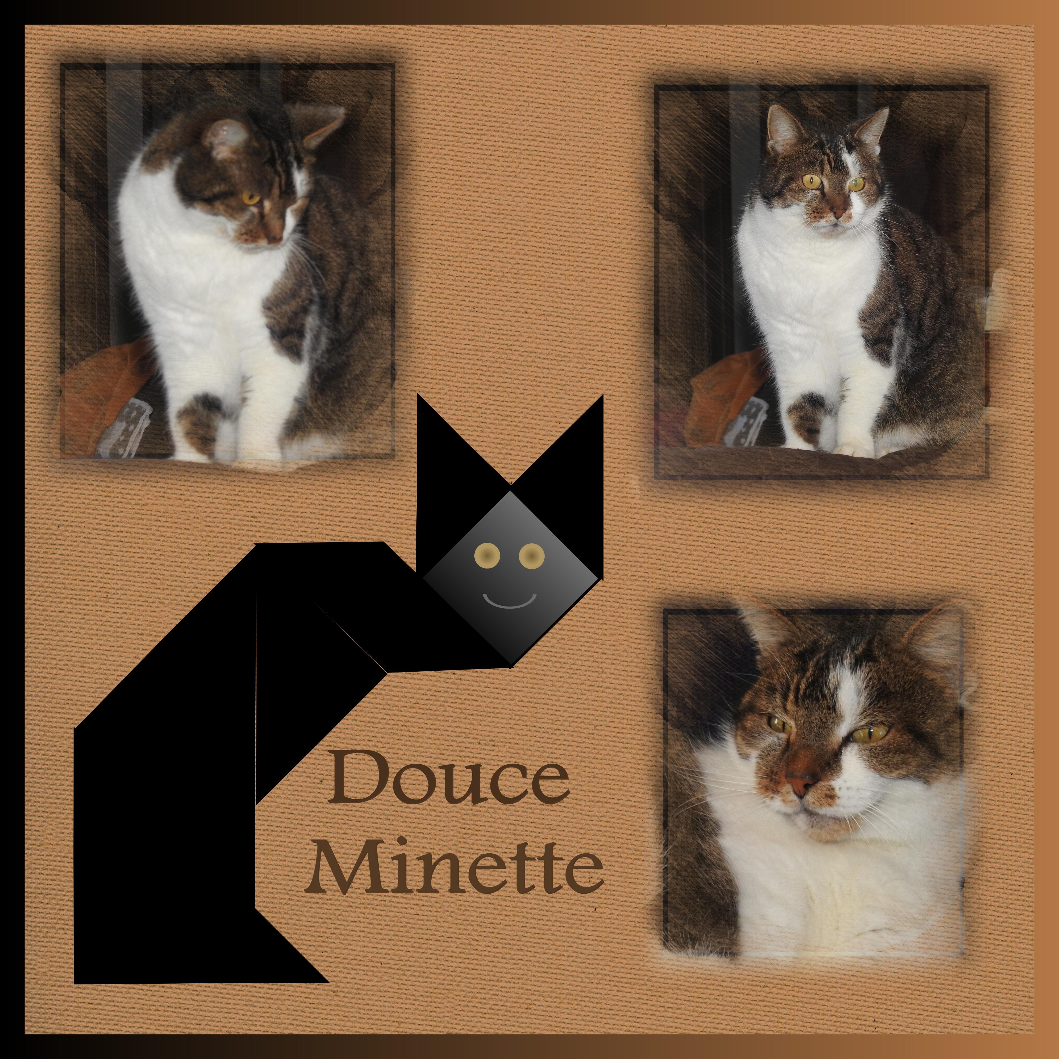 J-A209 - DOUCE MINETTE.jpg