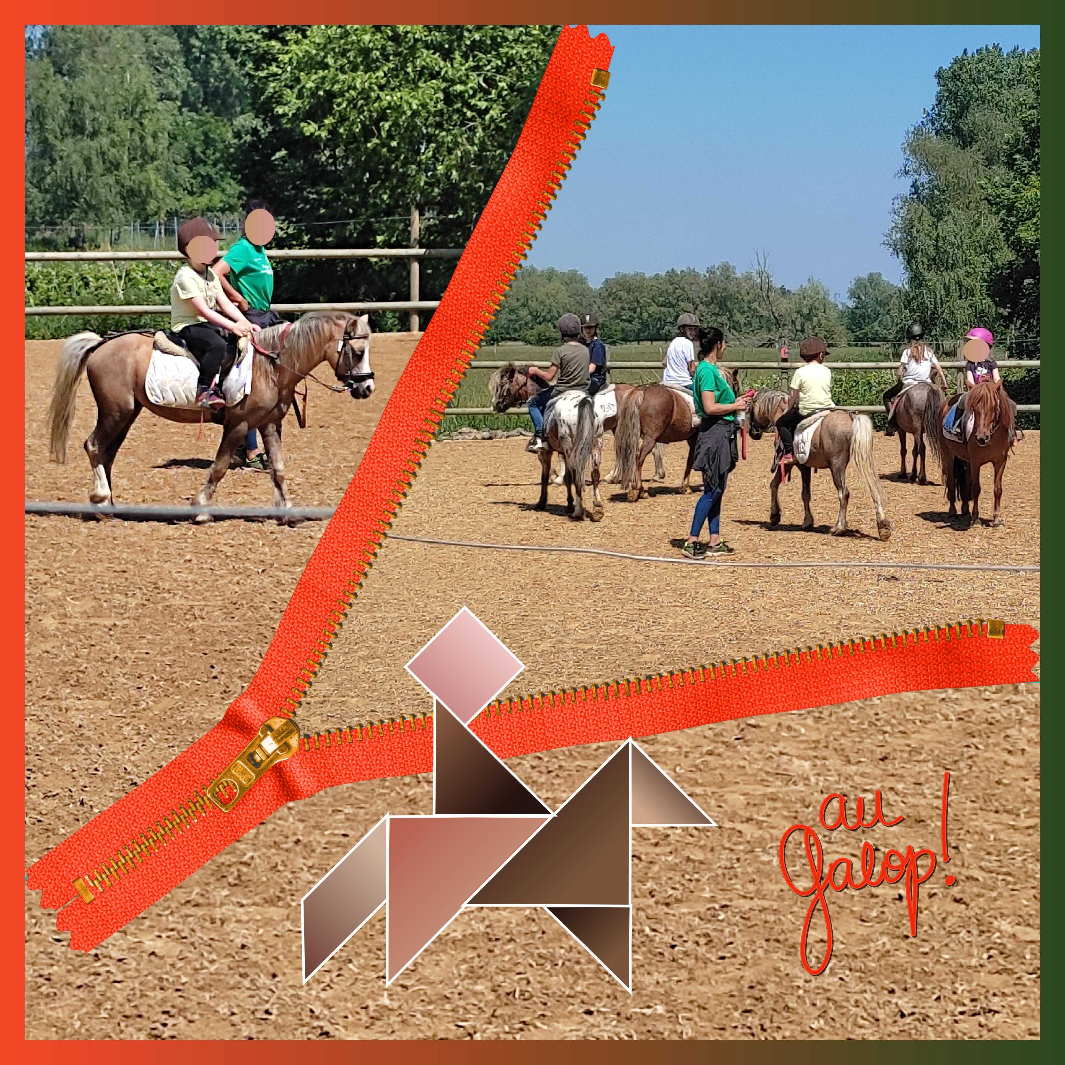 J-A211 - AU GALOP.jpg