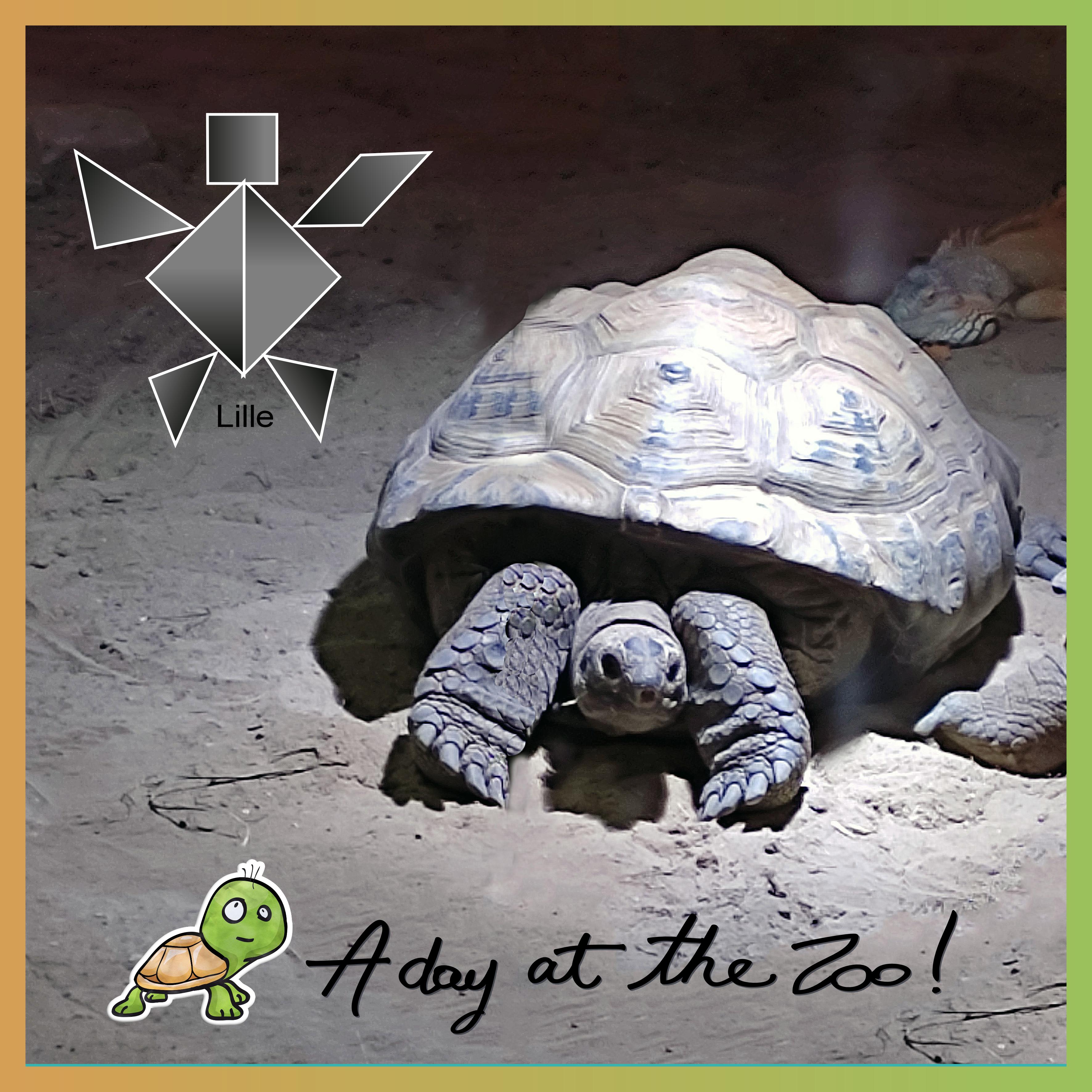 J-A212 - A DAY AT THE ZOO.jpg