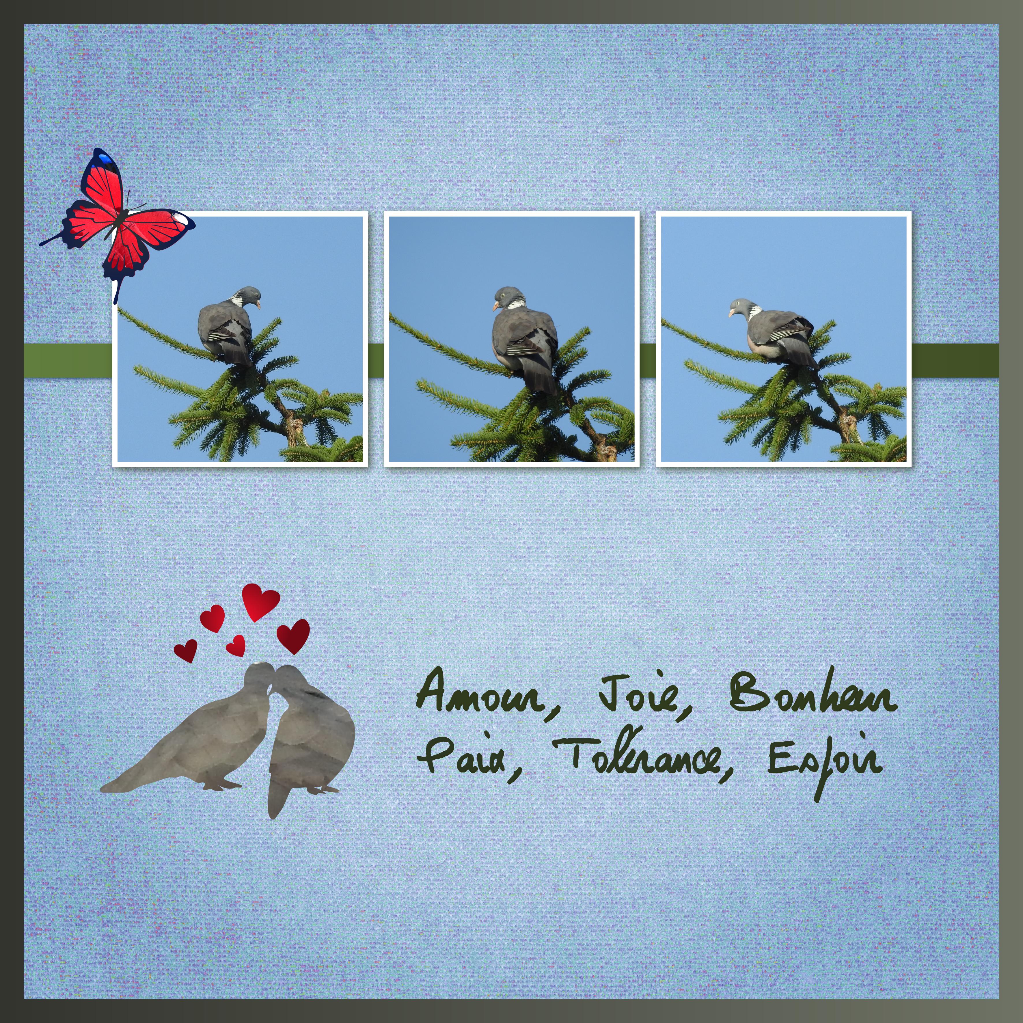 J-A214 - AMOUR JOIE.jpg