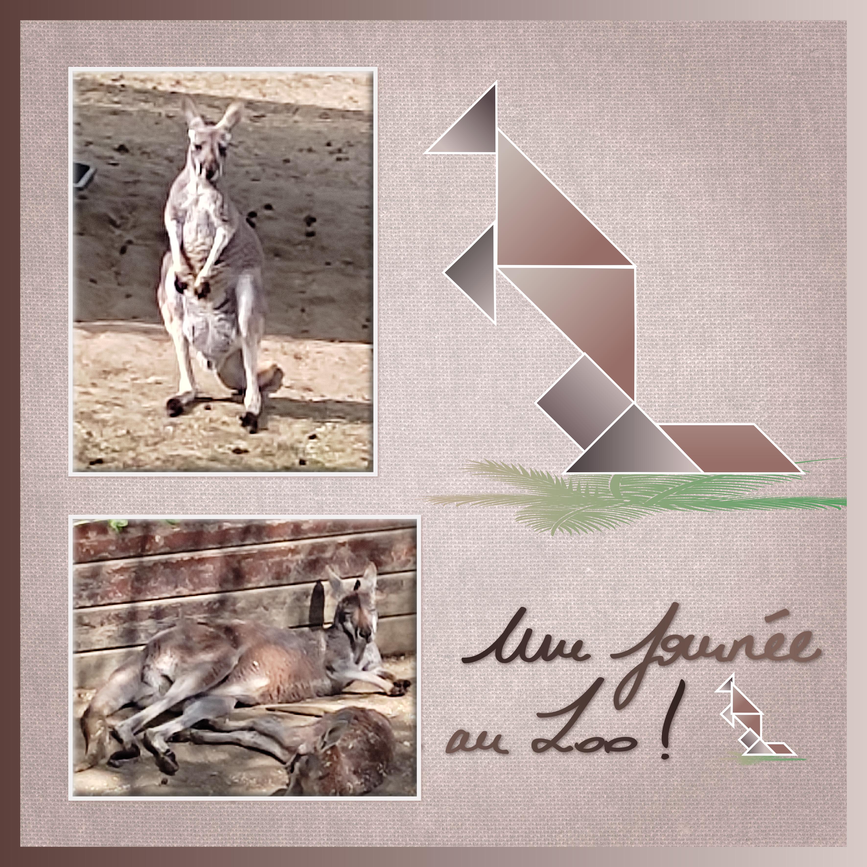 J-A214 - UN JOUR AU ZOO.jpg