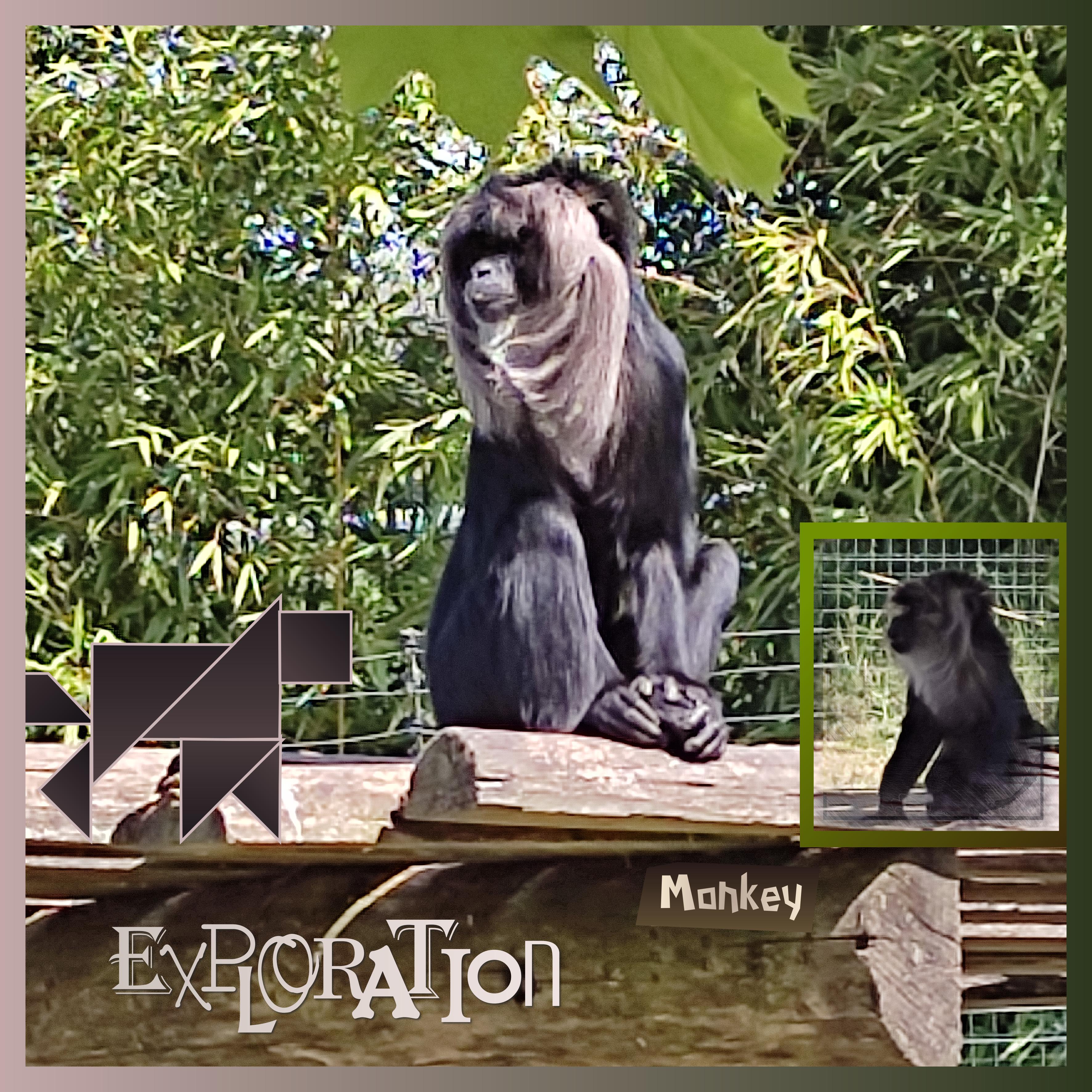 J-A215 - EXPLORATION.jpg