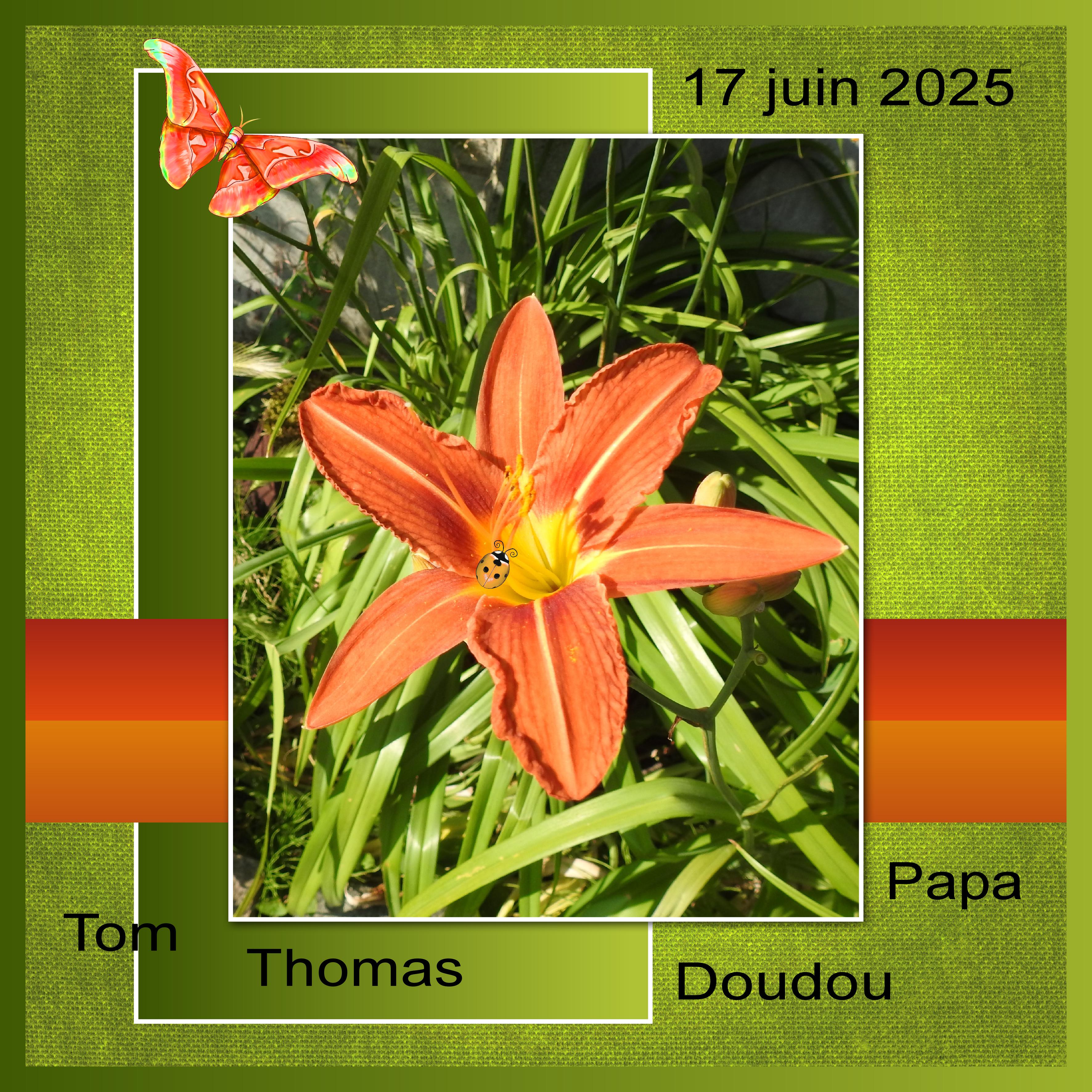 J-a22 - TOM - PAPA ...   .jpg