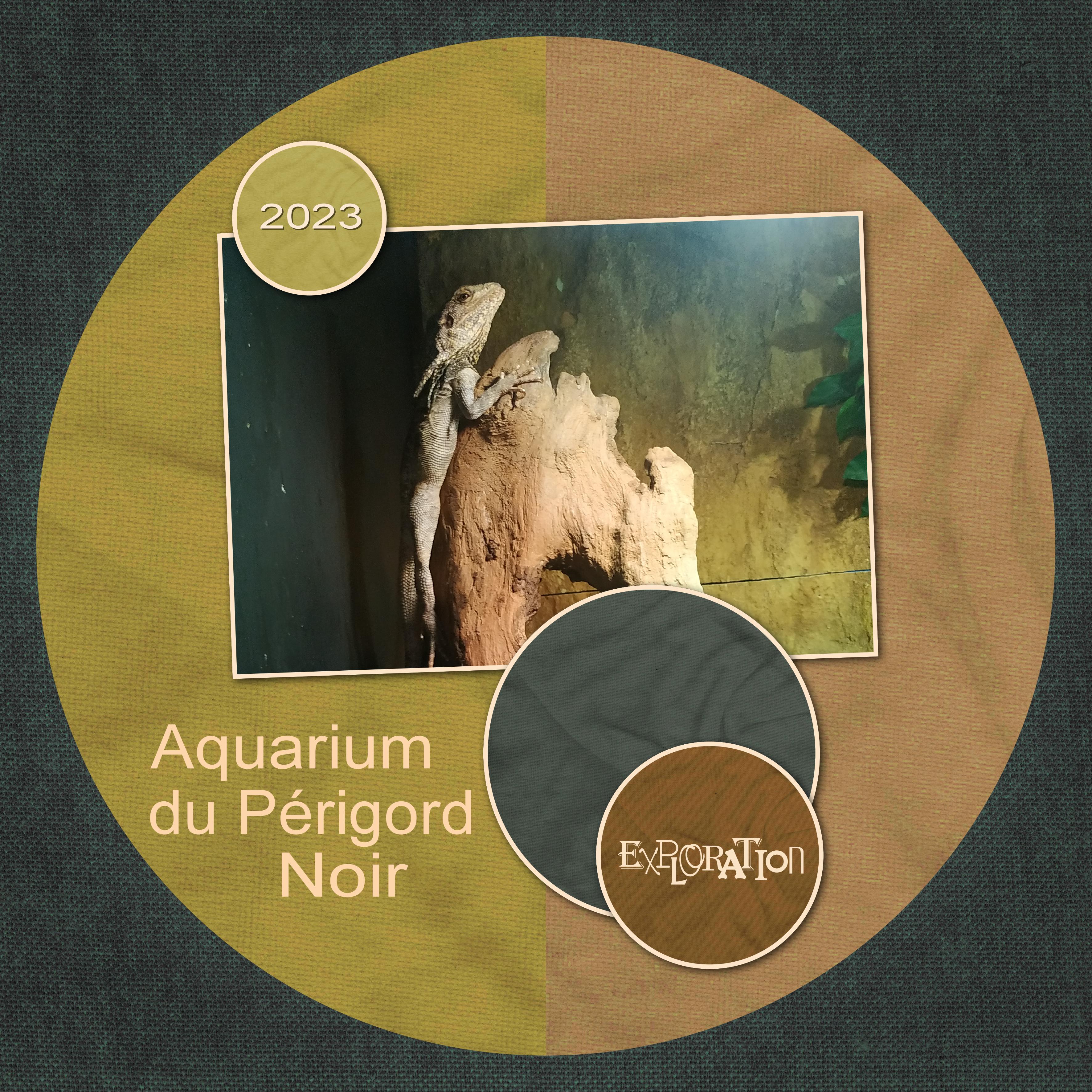 J - A220 _EXPLORATION.jpg