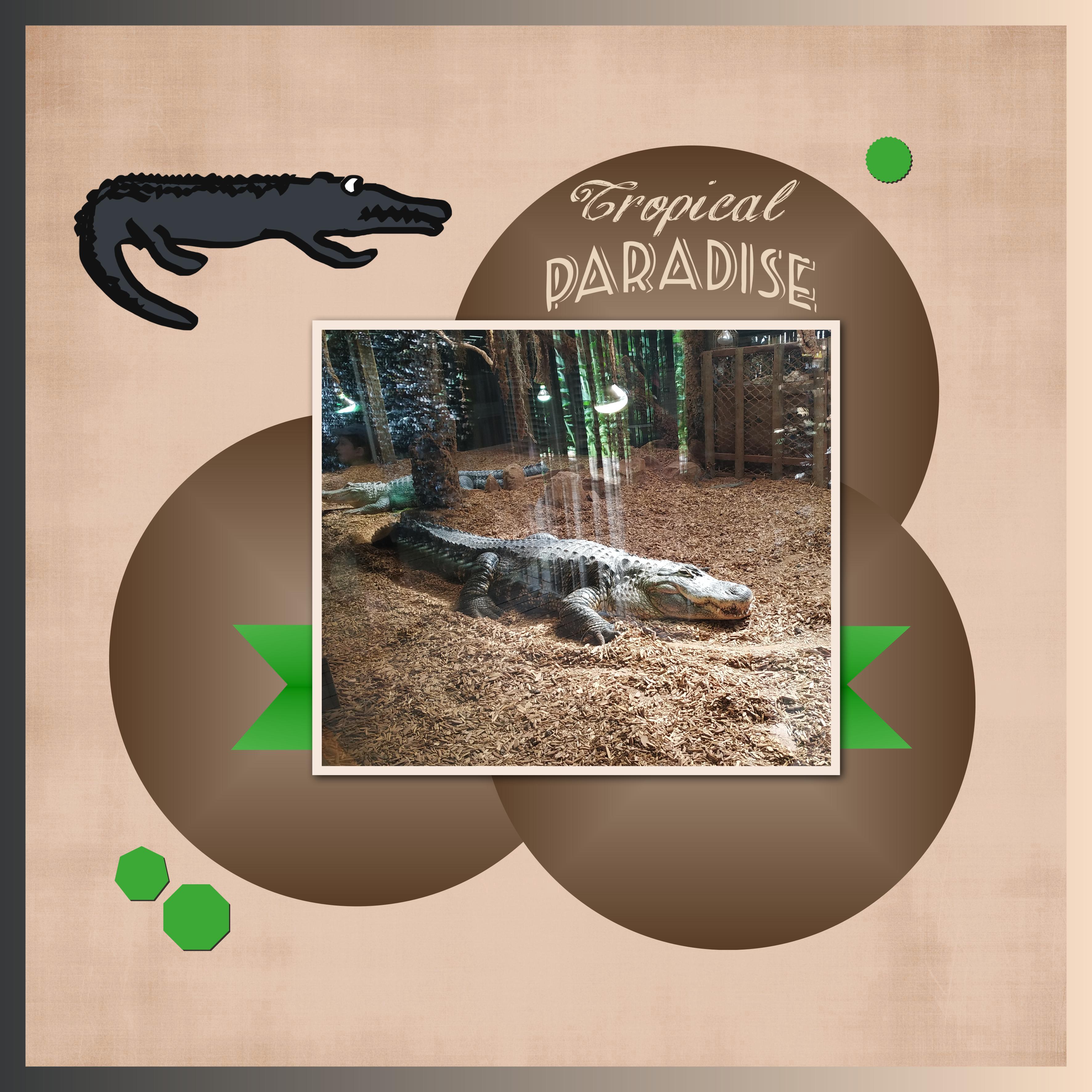 J - A221 - TROPICAL PARADISE.jpg