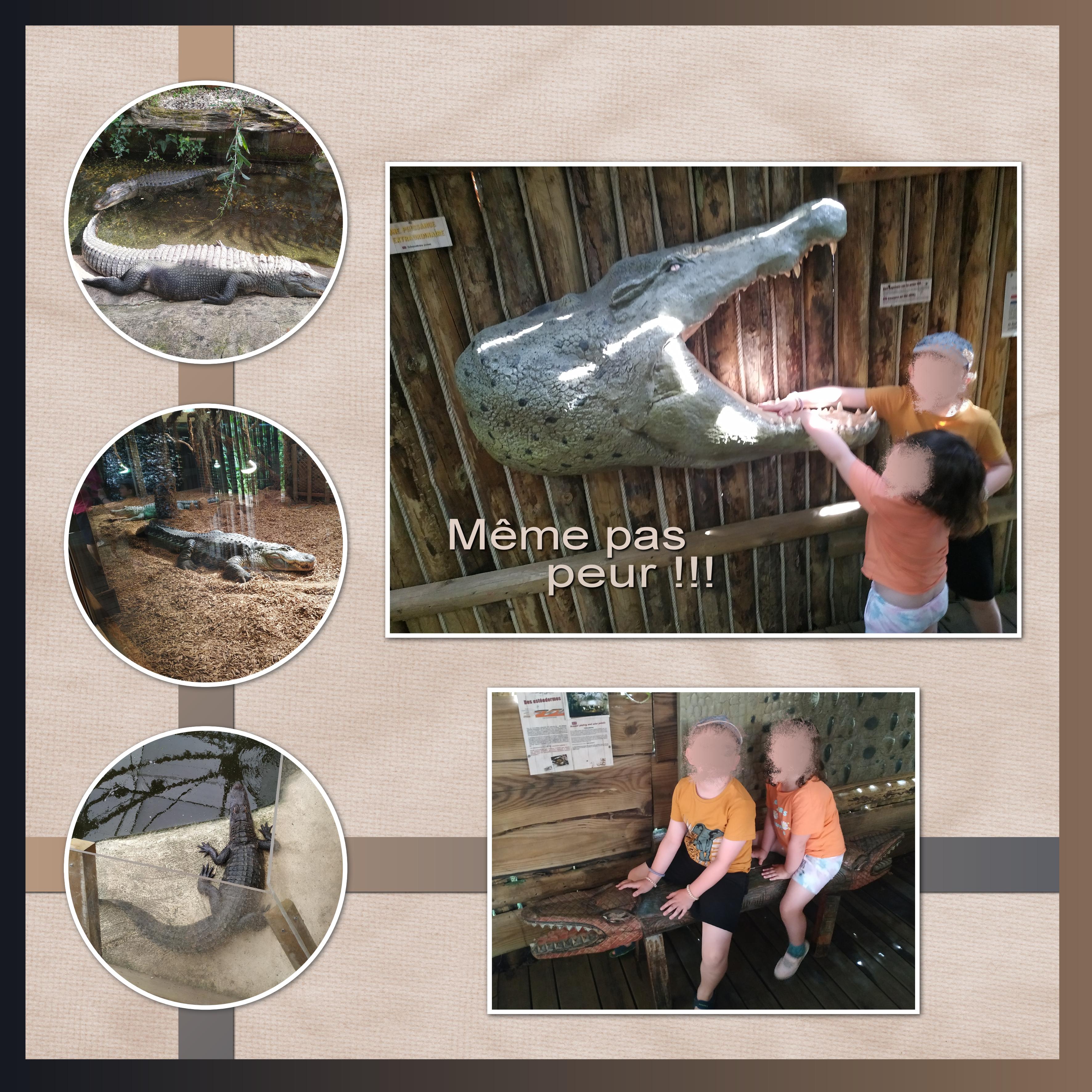 J-A223-MEME PAS PEUR.jpg