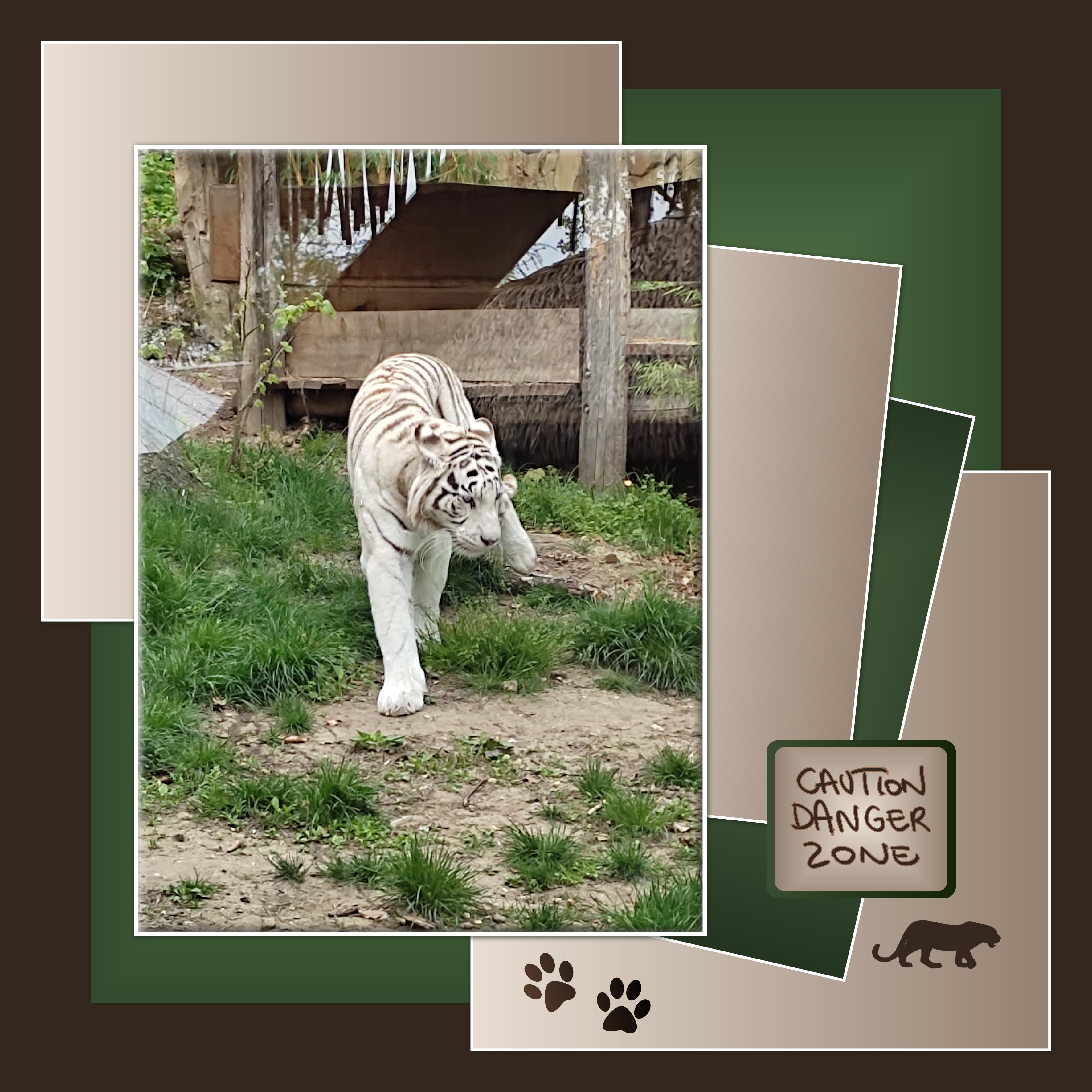 J-A224 - CAUTION DANGER ZONE .jpg