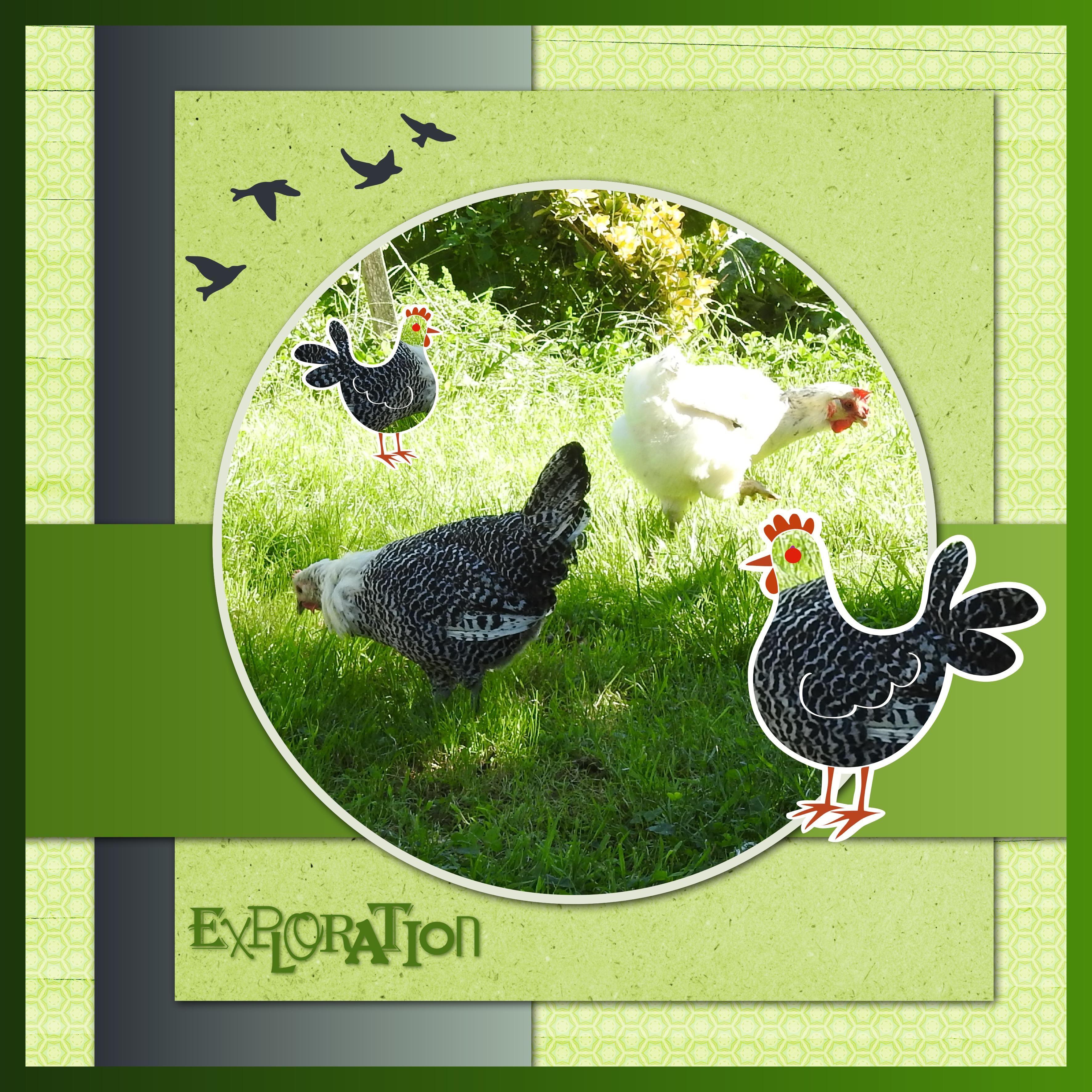 J-A229 - EXPLORATION.jpg