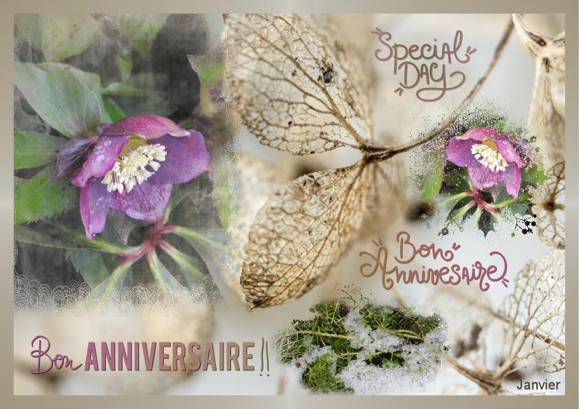 J-a23 - ANNIVERSAIRES DE JANVIER.jpg