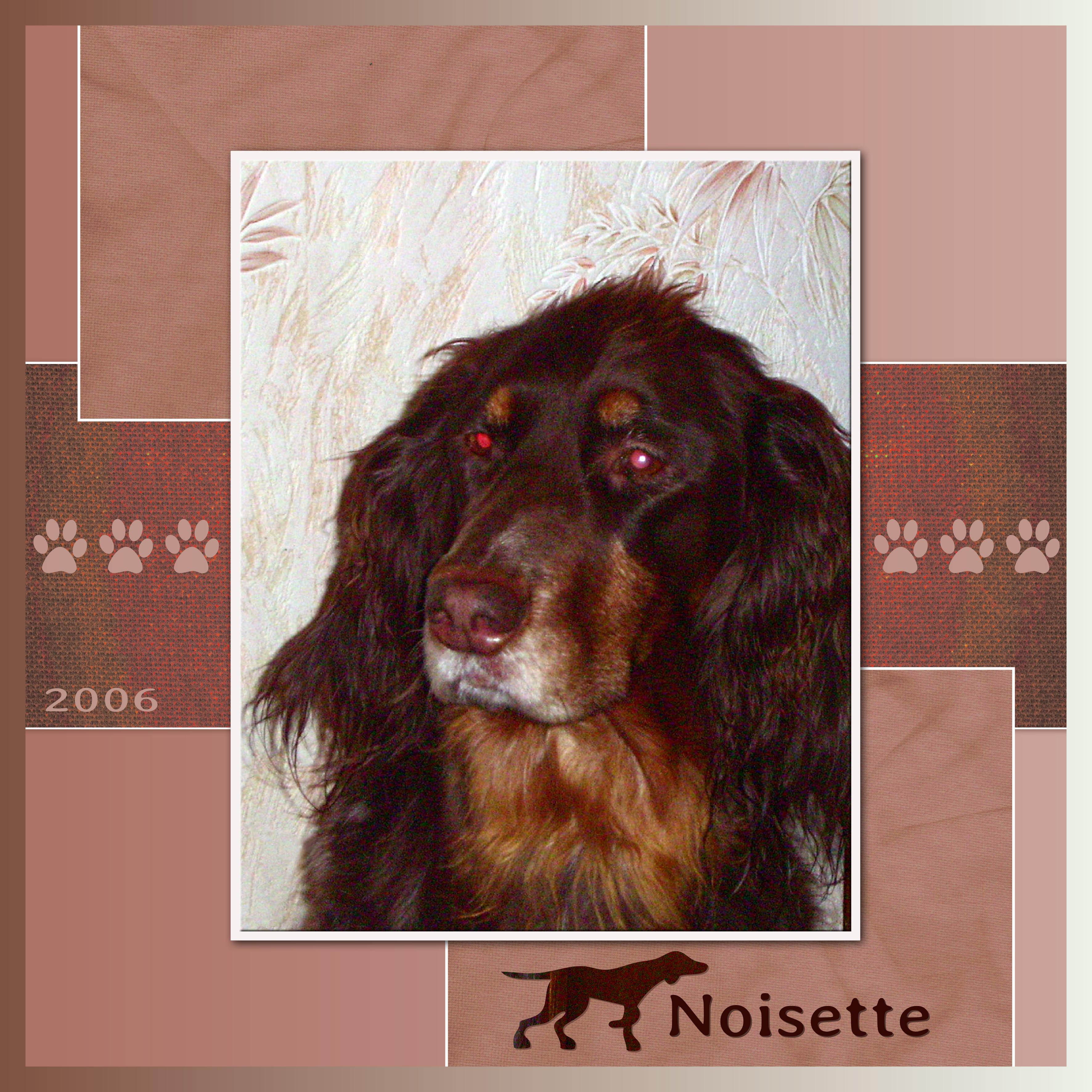 J-A231 - NOISETTE .jpg